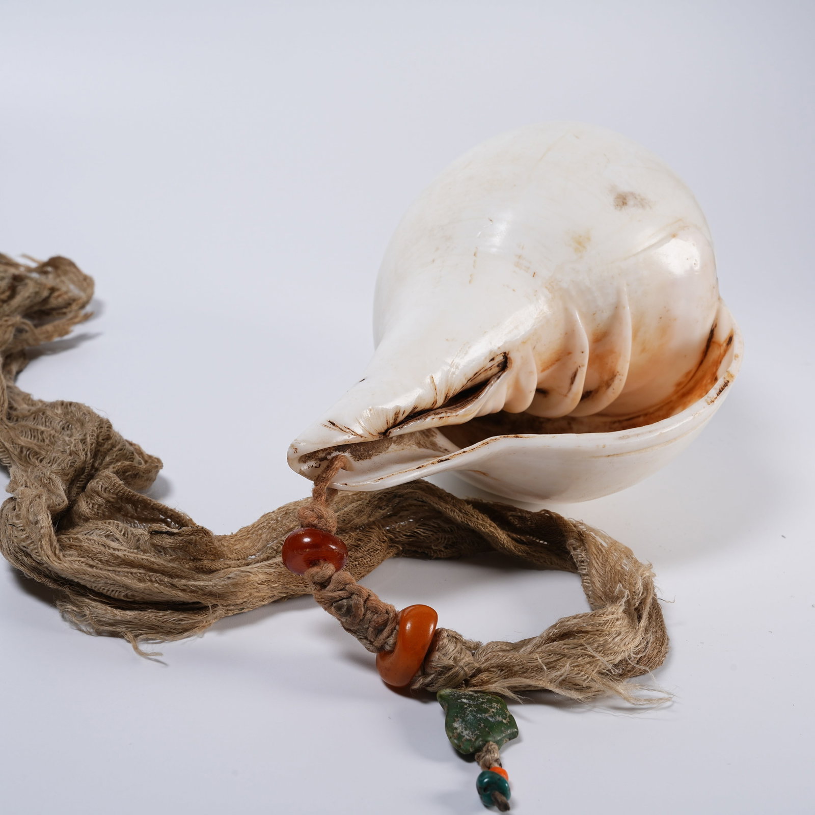 A CONCH RITUAL IMPLEMENT - 9