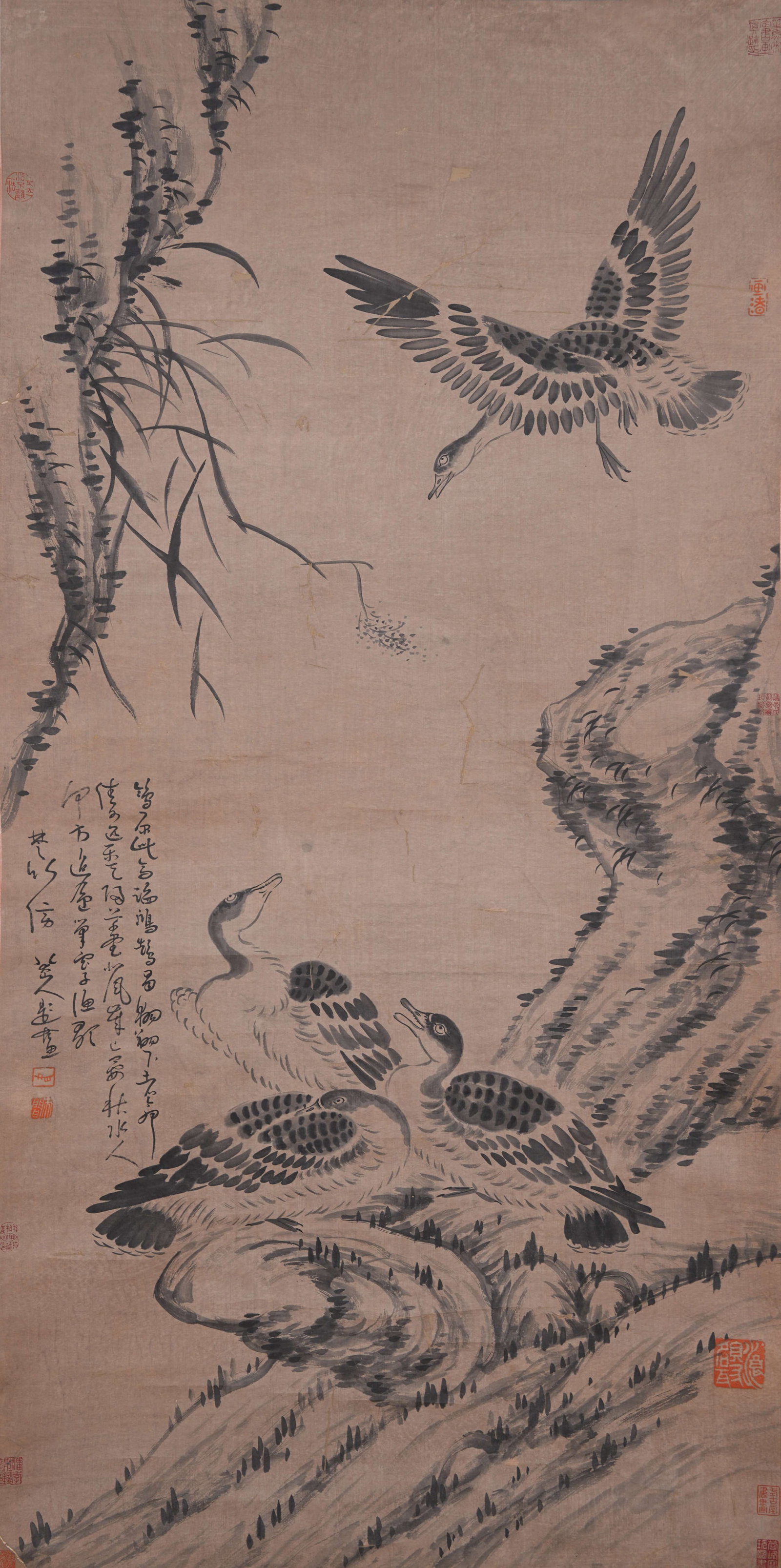 A BIRD PAINTING ON PAPER BY BADA SHANREN.八大山人: Bird Painting on Paper by Bada Shanren.八大山人