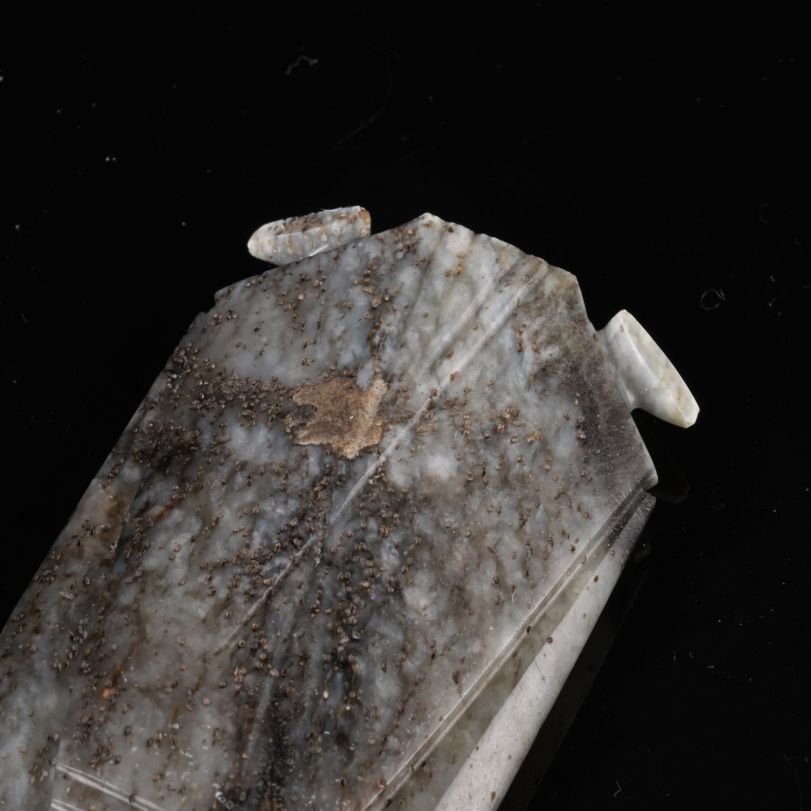A ARCHAIC JADE CICADA - 7