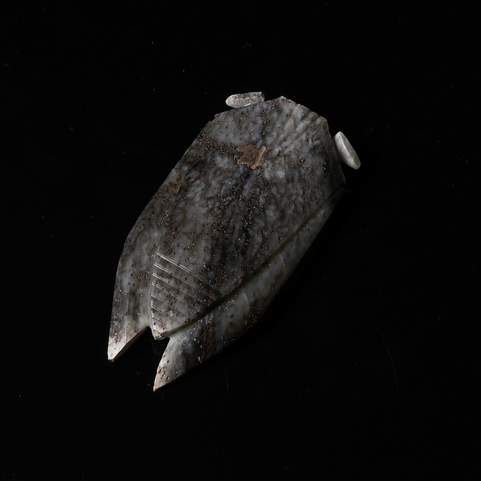A ARCHAIC JADE CICADA - 8