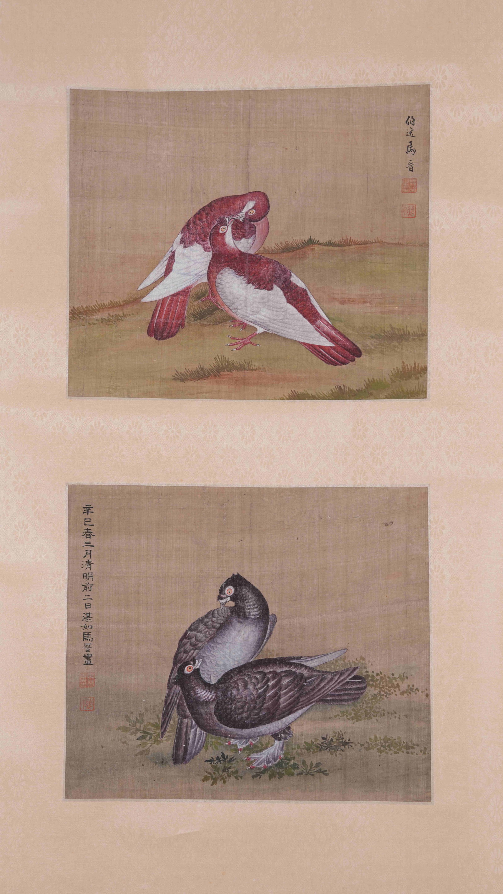 A DOVE PAINTING ON SILK BY MA JIN.馬晉: Dove Painting on Silk by Ma Jin.馬晉