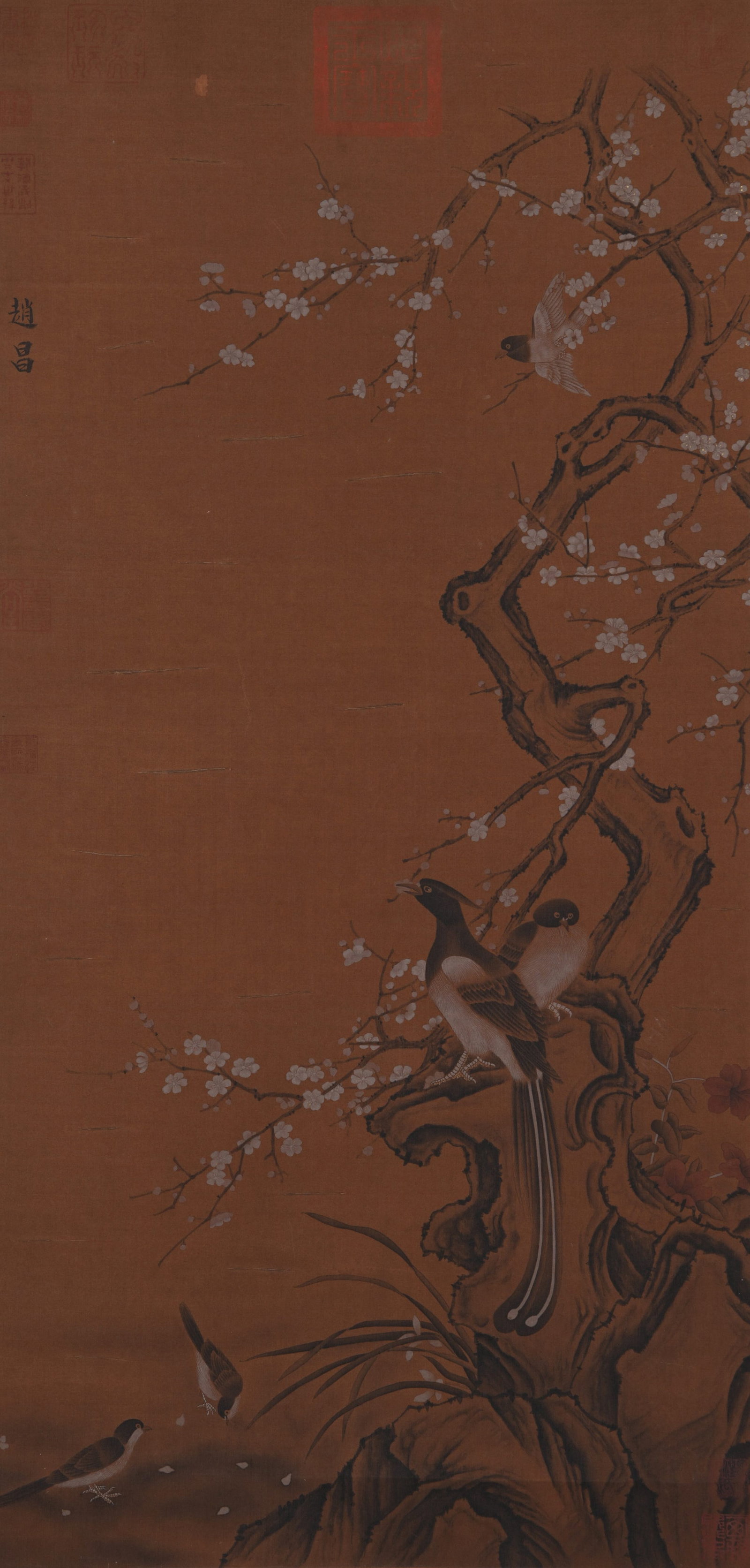 A FLOWER AND BIRD PAINTING ON SILK BY ZHAO CHANG.趙昌: Flower and Bird Painting on Silk by Zhao Chang.趙昌