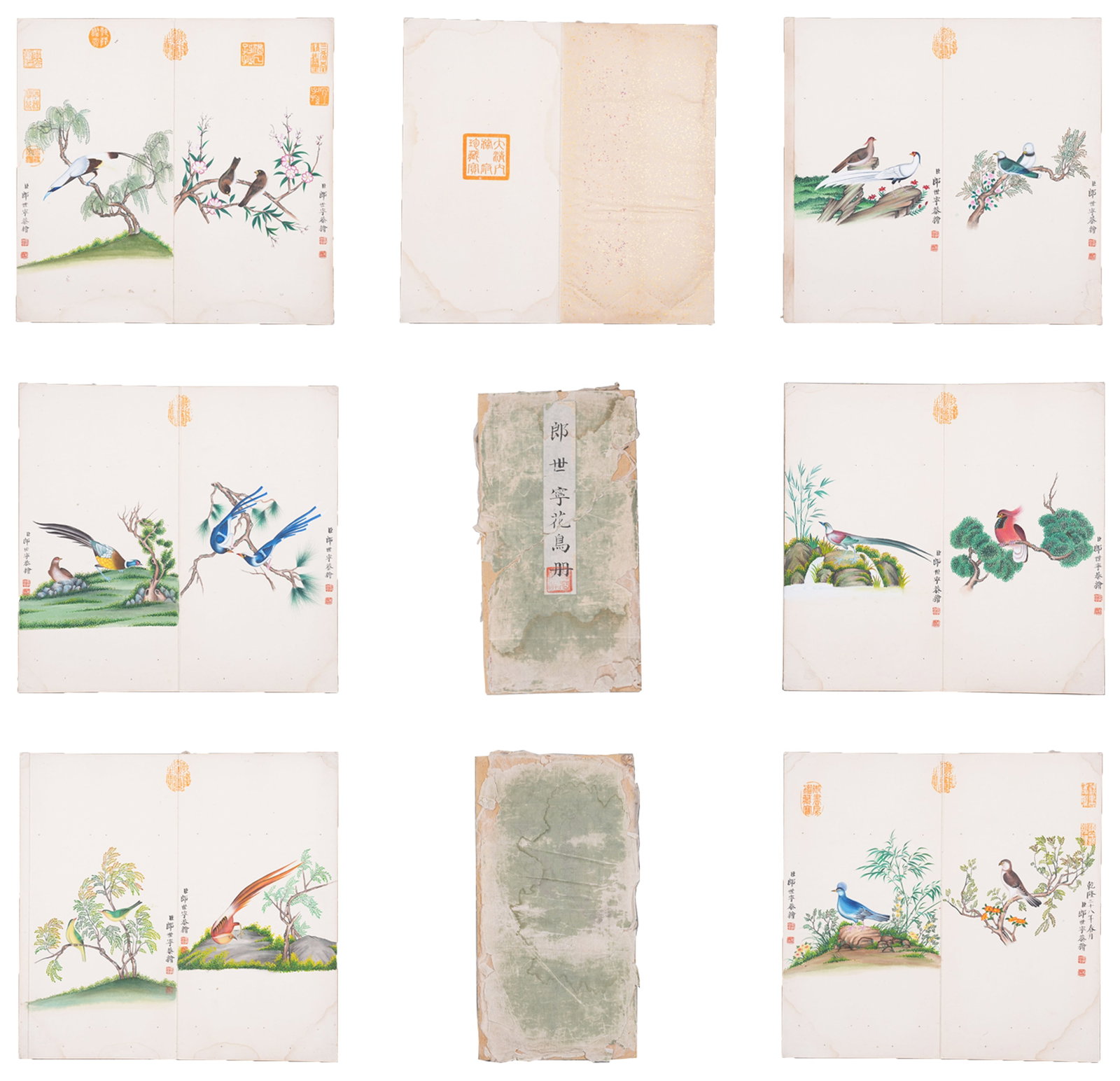 A ALBUM OF FLOWER AND BIRD PAINTINGS ON PAPER BY GIUSEPPE CASTIGLIONE (6 LEAVES).郎世 (1 of 10)