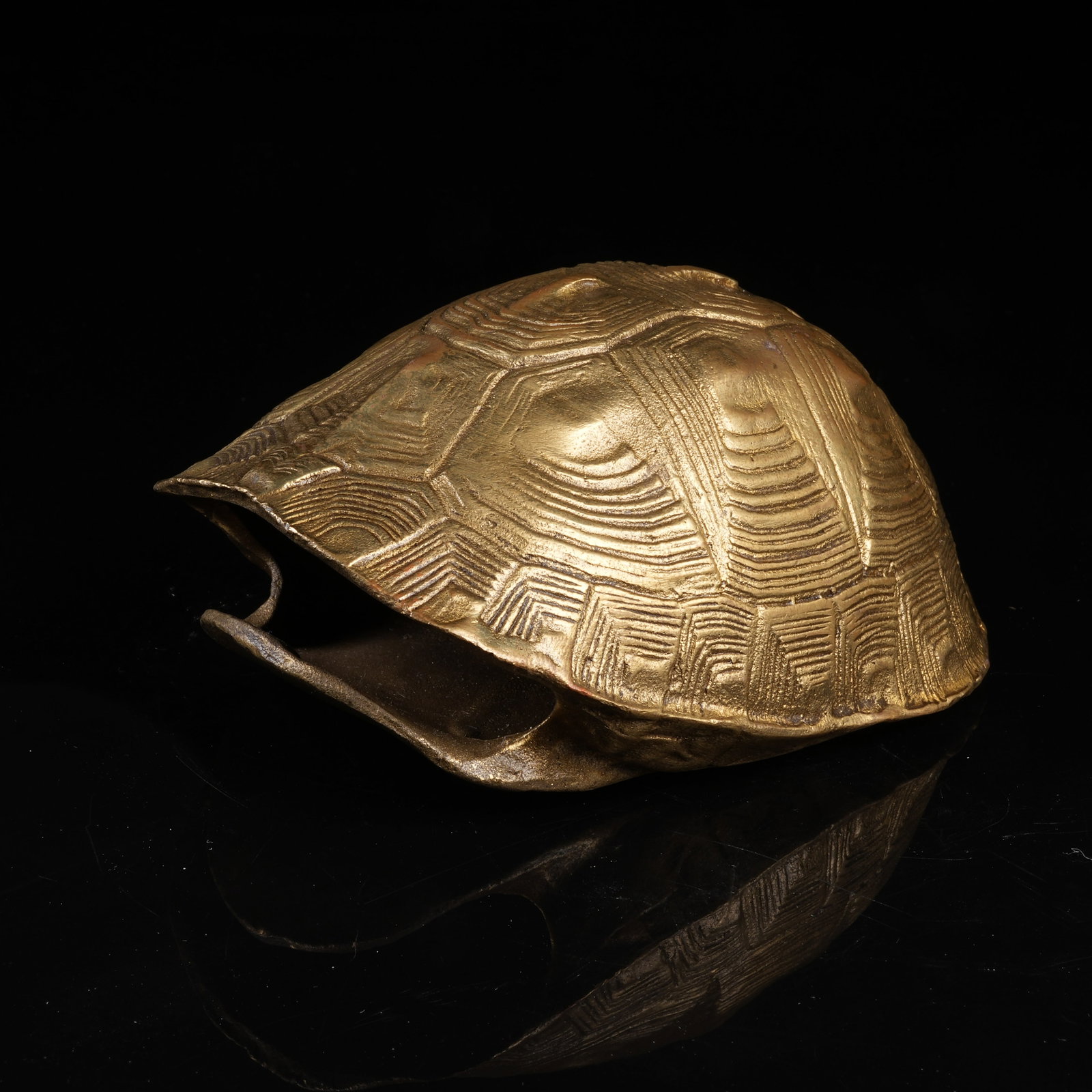 A BRONZE TORTOISE SHELL (1 of 9)