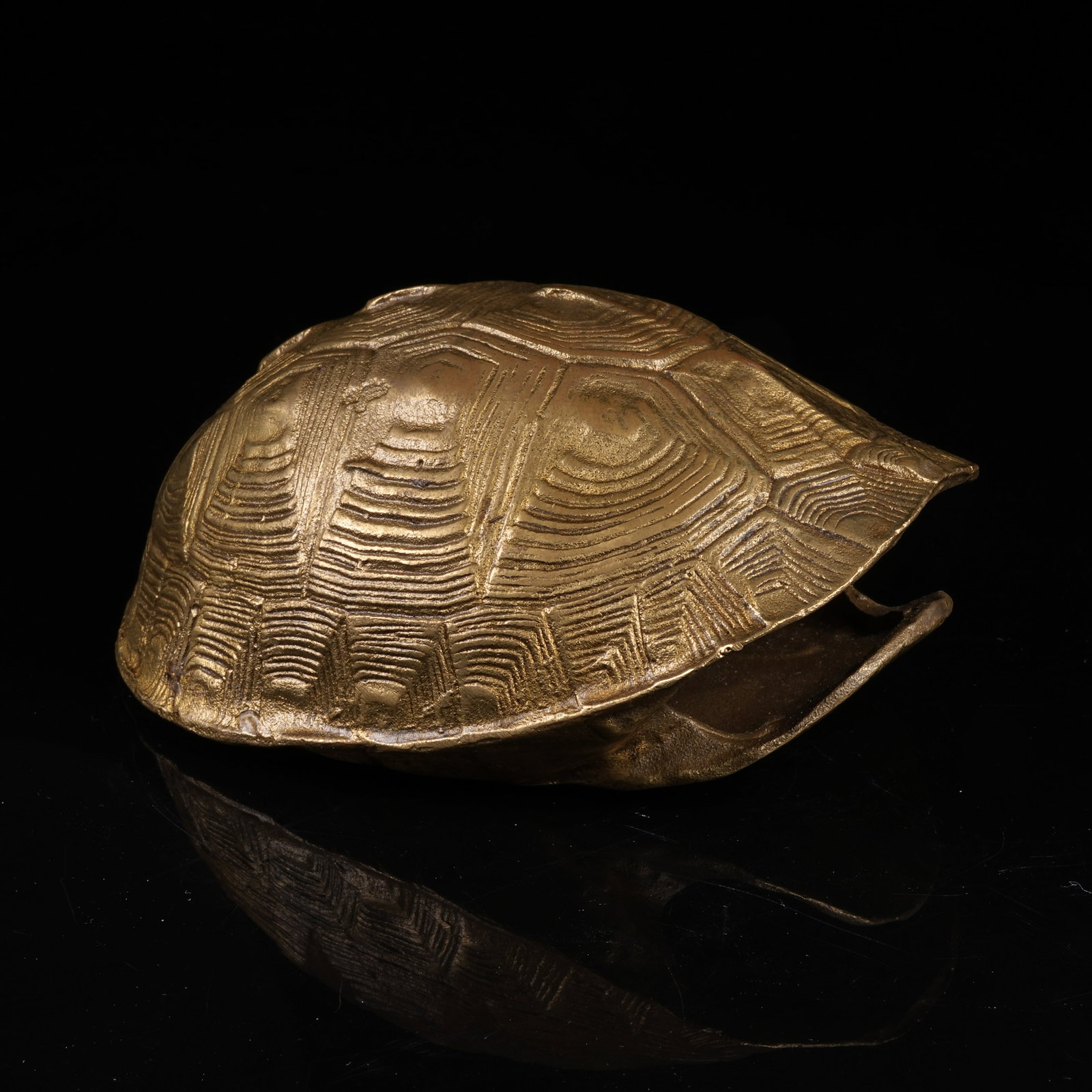 A BRONZE TORTOISE SHELL - 3