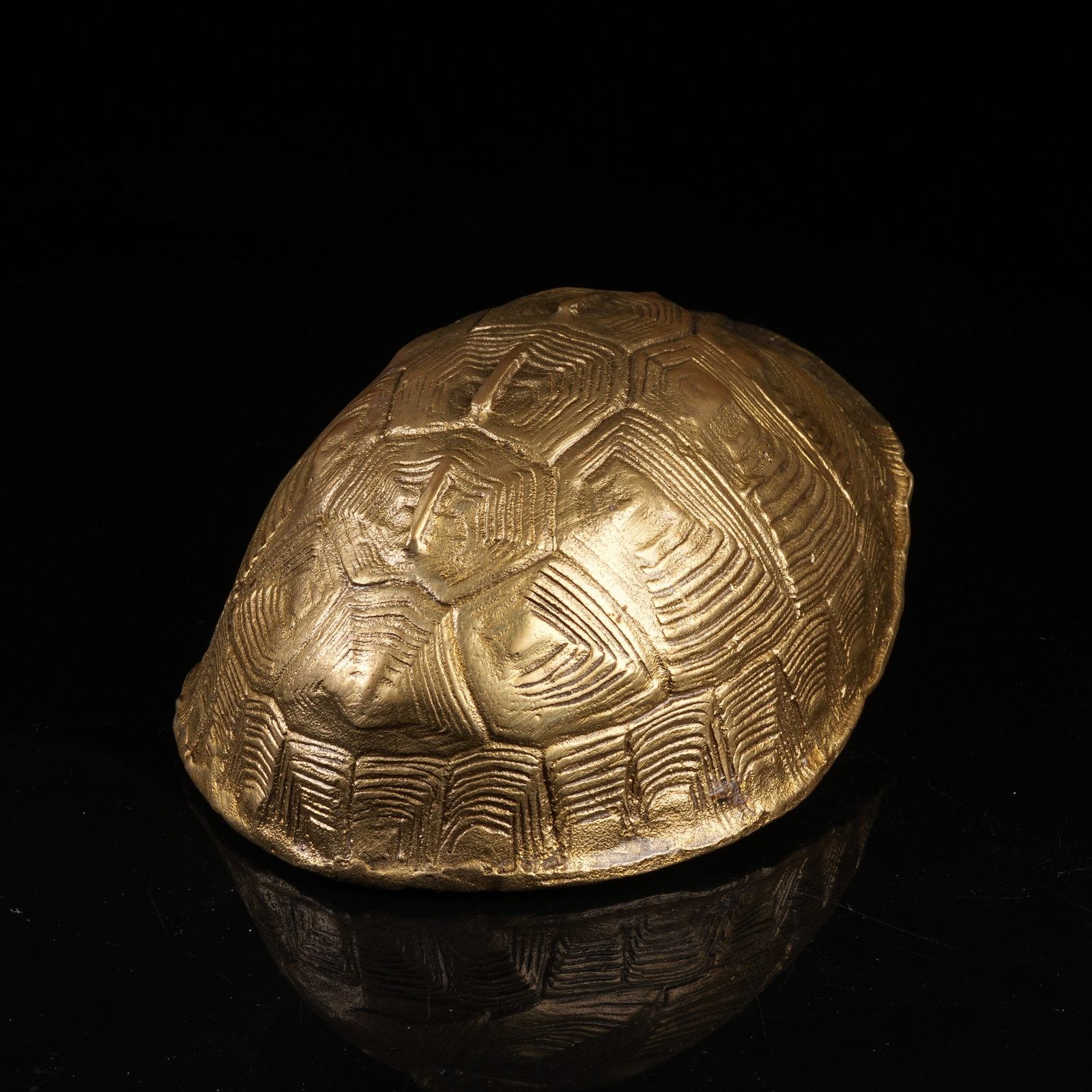 A BRONZE TORTOISE SHELL - 4