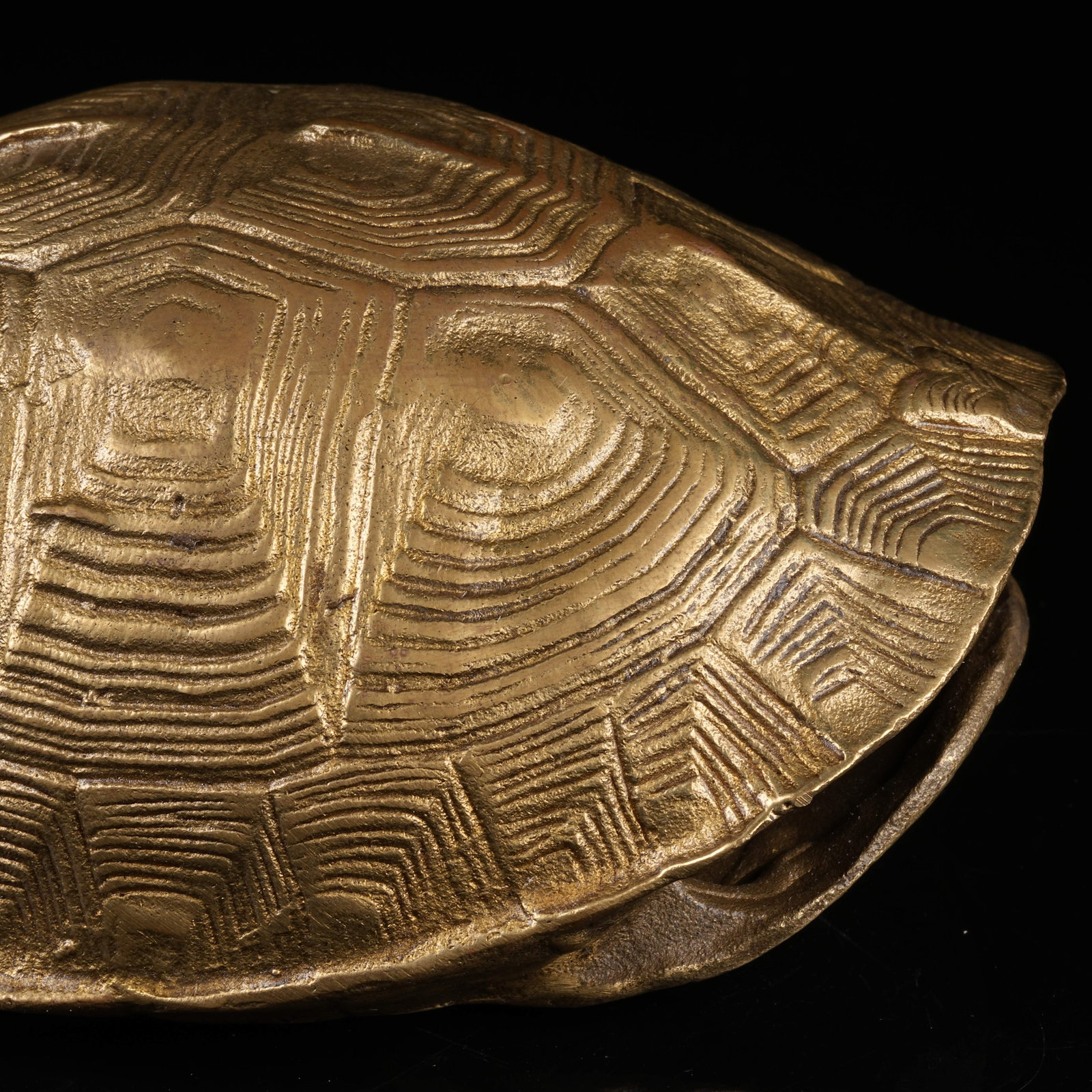 A BRONZE TORTOISE SHELL - 5