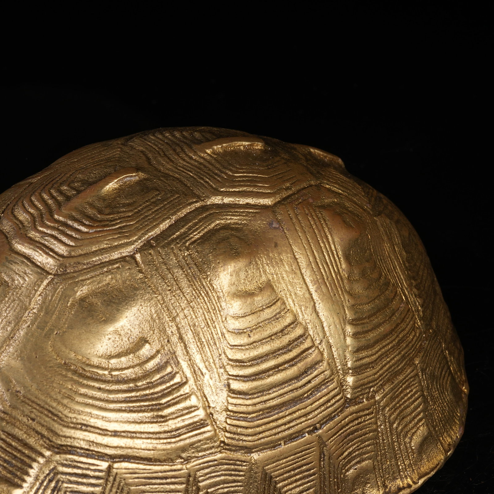 A BRONZE TORTOISE SHELL - 6