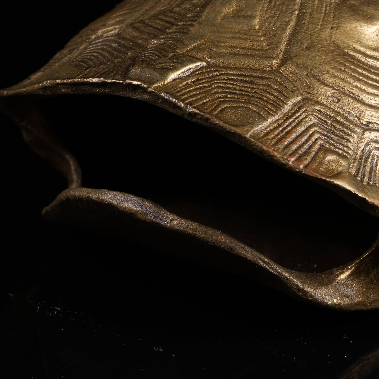 A BRONZE TORTOISE SHELL - 7