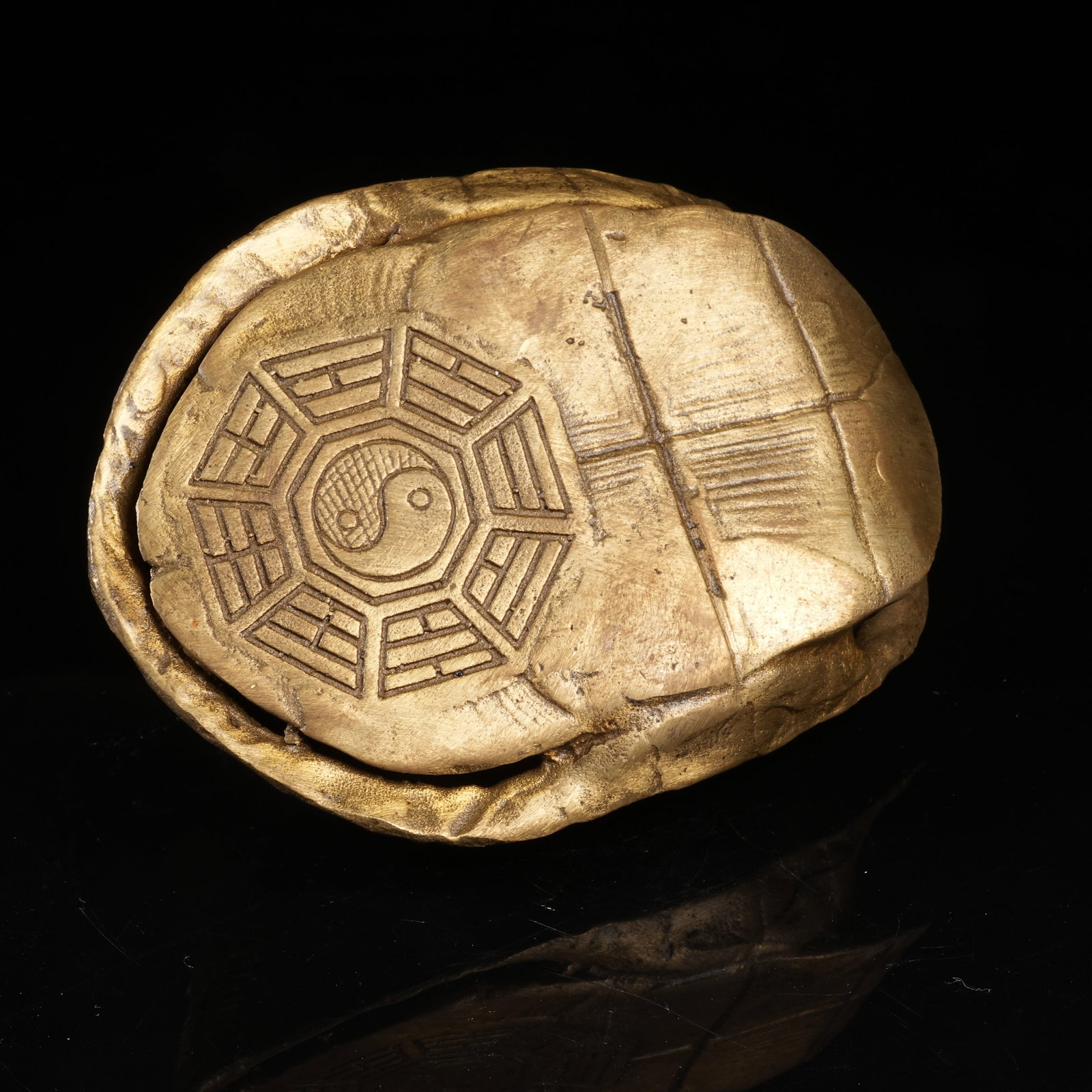 A BRONZE TORTOISE SHELL - 9