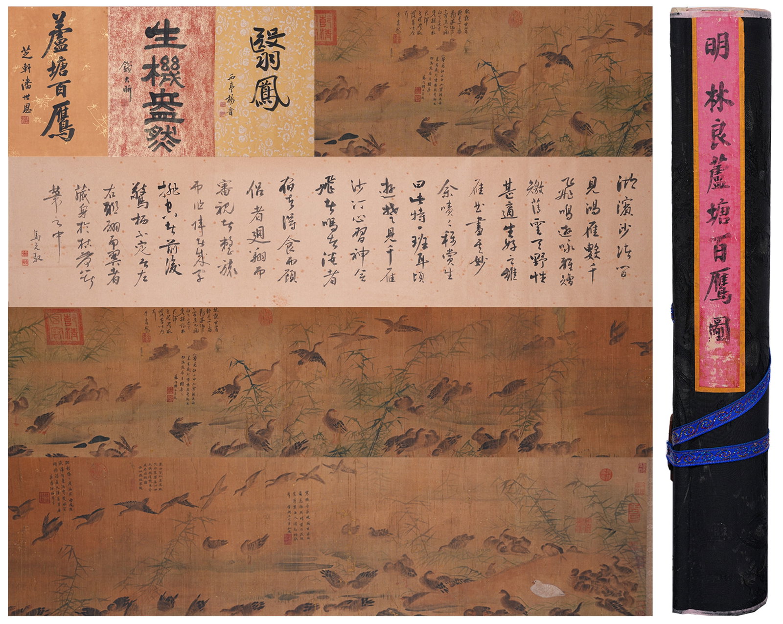 A HAND SCROLL OF HUNDRED EAGLES IN REED POND ON SILK BY LIN LIANG.林良: Hand Scroll of Hundred Eagles in Reed Pond on Silk by Lin Liang.林良