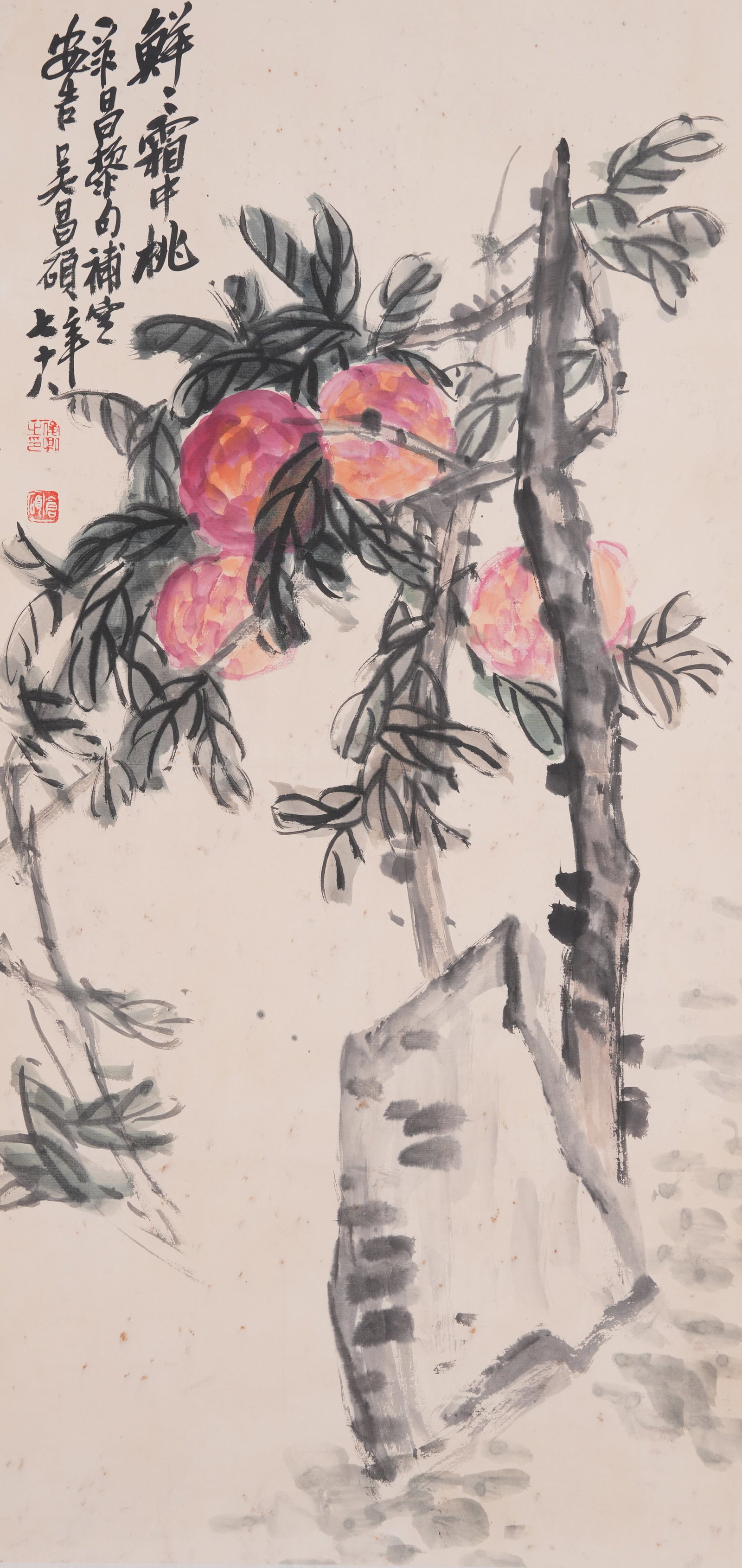 A PAINTING OF LONGEVITY PEACHES ON PAPER BY WU CHANGSHUO.吳昌碩: Painting of Longevity Peaches on Paper by Wu Changshuo.吳昌碩