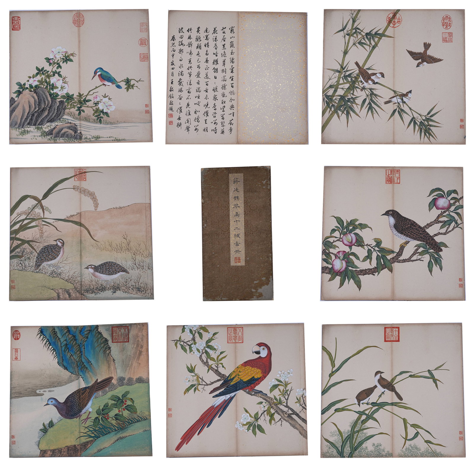 A ALBUM OF FLOWER AND BIRD PAINTINGS ON PAPER BY JIANG TINGXI (TWELVE LEAVES).蔣廷: Album of Flower and Bird Paintings on Paper by Jiang Tingxi (Twelve Leaves).蔣廷錫