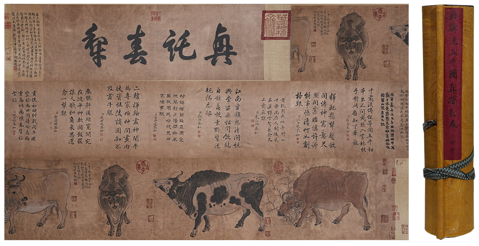 A CATTLE HERDING PAINTING HANDSCROLL ON PAPER BY HAN HUANG.韓滉: Cattle Herding Painting Handscroll on Paper by Han Huang.韓滉