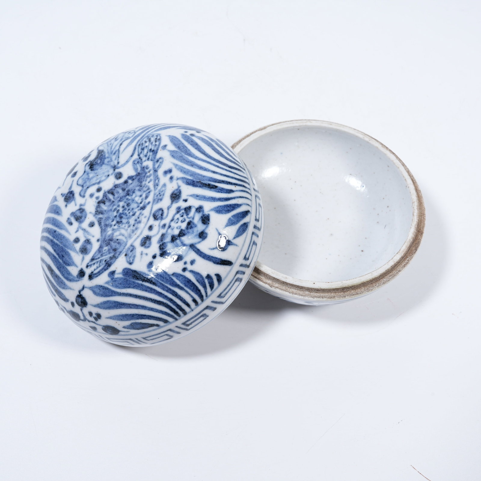 A BLUE AND WHITE INK PASTE BOX WITH FISH AND ALGAE PATTERN (1 of 9)