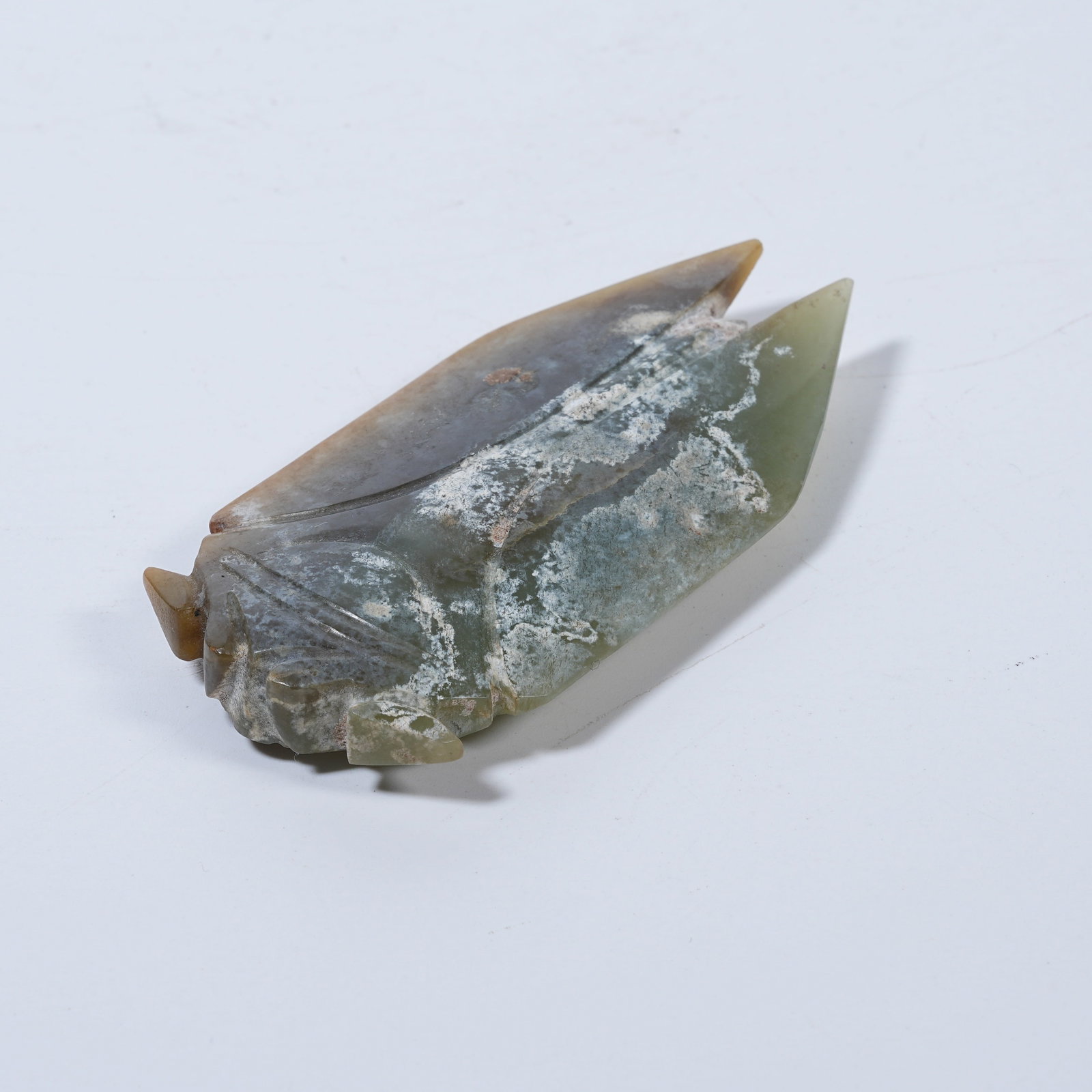 A ARCHAIC JADE CICADA: Archaic Jade Cicada