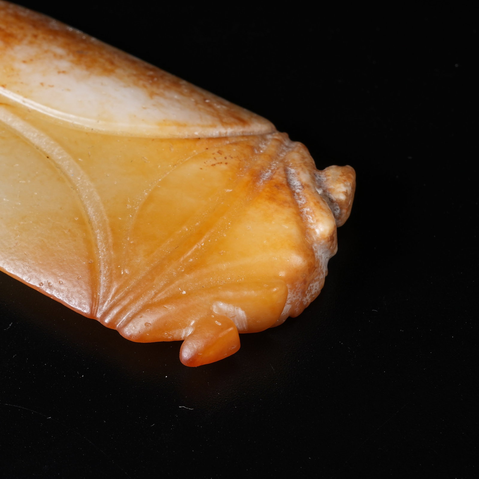A ANCIENT JADE CICADA - 2
