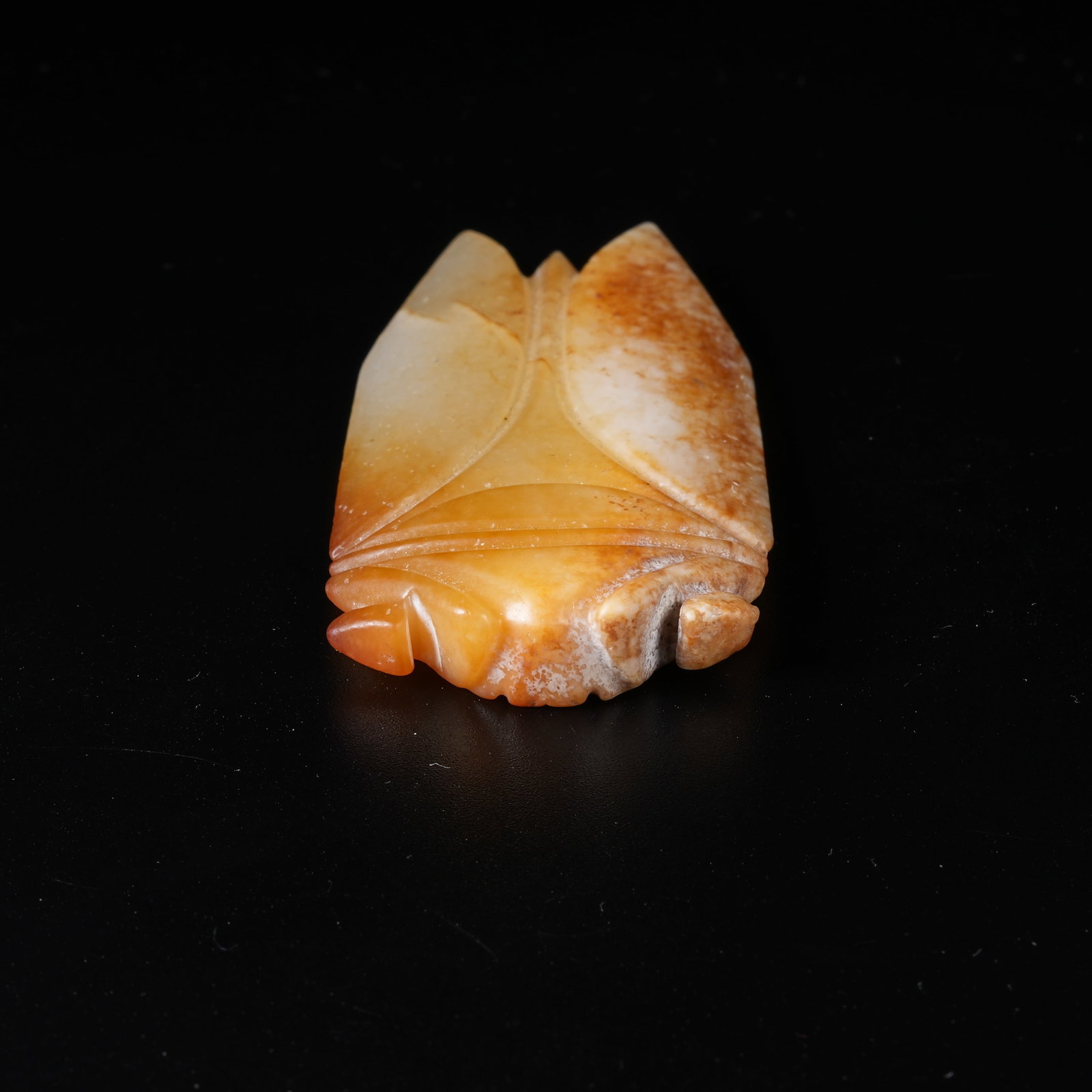 A ANCIENT JADE CICADA - 5