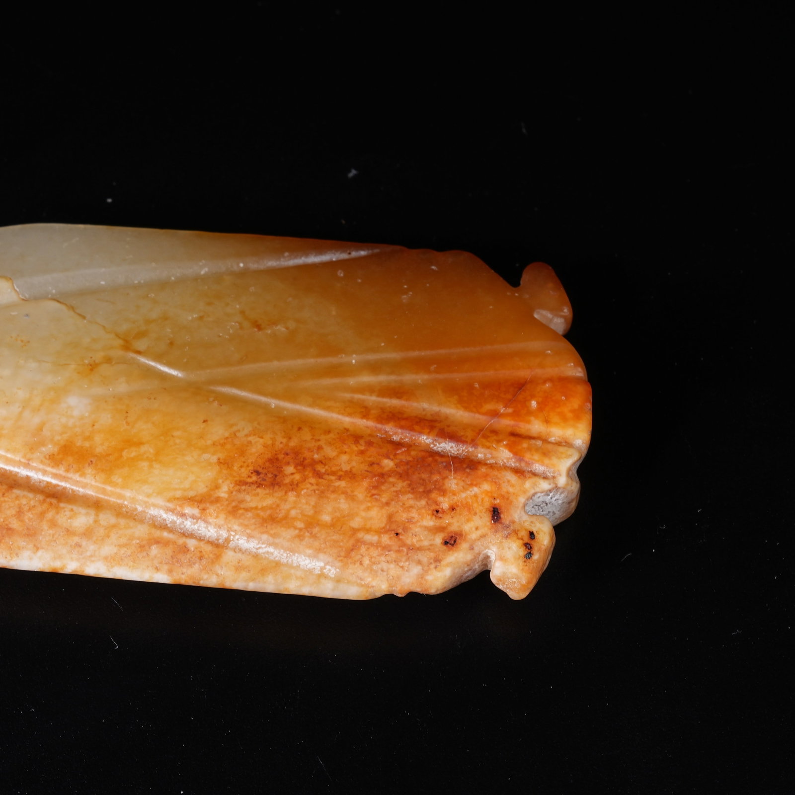 A ANCIENT JADE CICADA - 8