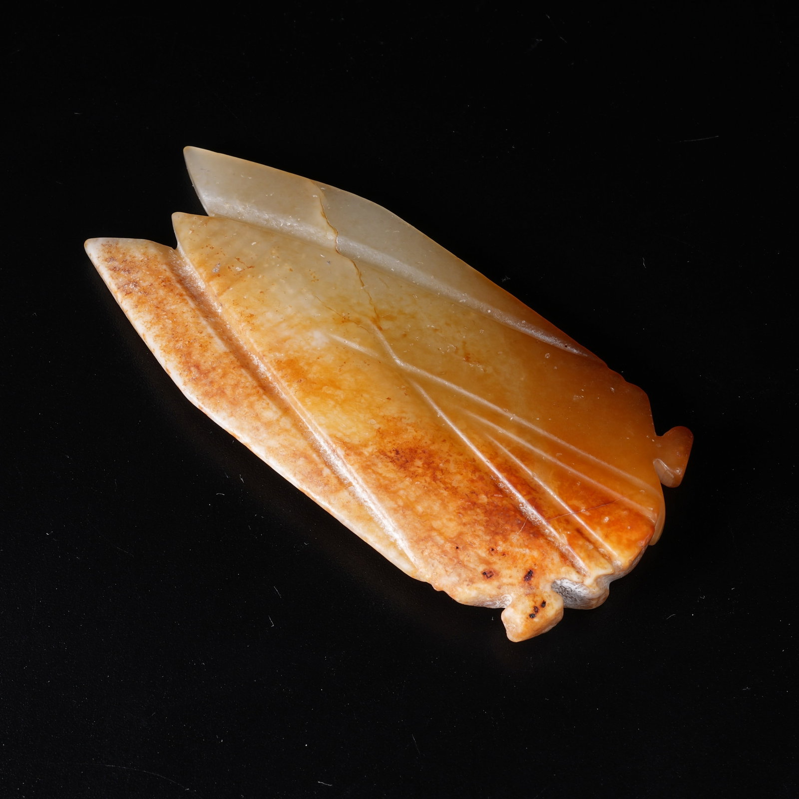 A ANCIENT JADE CICADA - 9