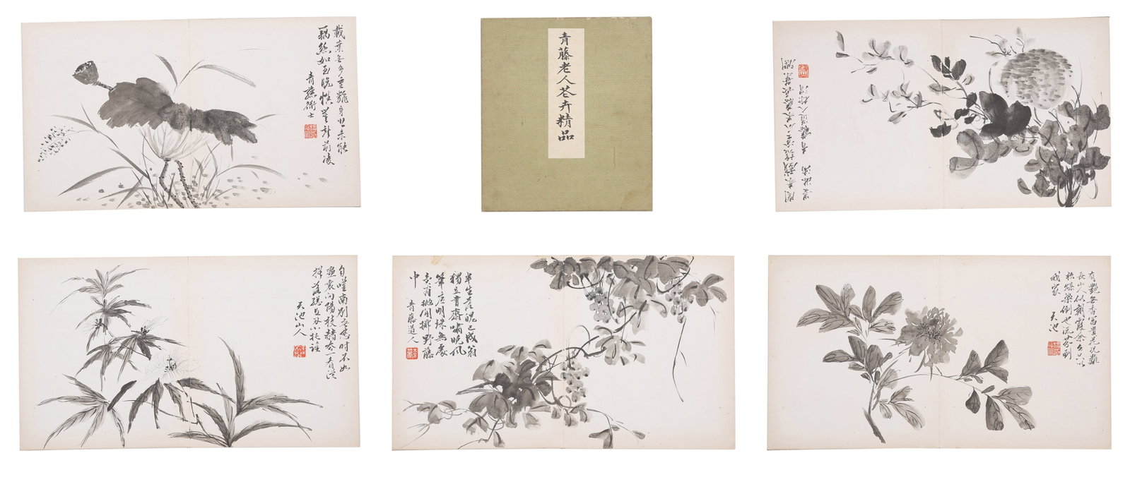A FLOWER PAINTINGS ALBUM LEAVES ON PAPER BY XU WEI (5 LEAVES).徐渭 (1 of 9)