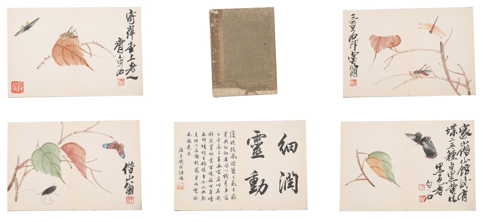 A SHELL, LEAF, GRASS AND INSECT PAINTINGS ALBUM LEAVES ON PAPER BY QI BAISHI (8 LEAVES).齊: Shell, Leaf, Grass and Insect Paintings Album Leaves on Paper by Qi Baishi (8 leaves).齊白石