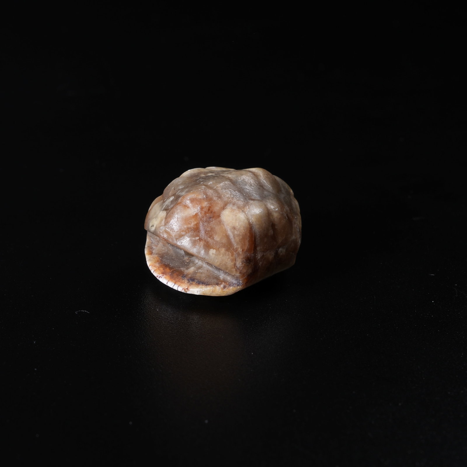 A ANCIENT JADE TURTLE PENDANT: Ancient Jade Turtle Pendant