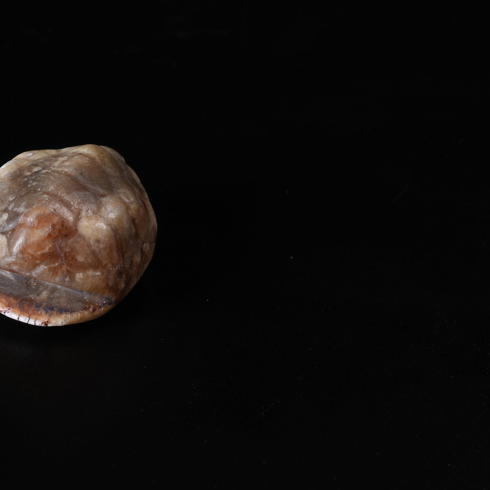 A ANCIENT JADE TURTLE PENDANT - 6