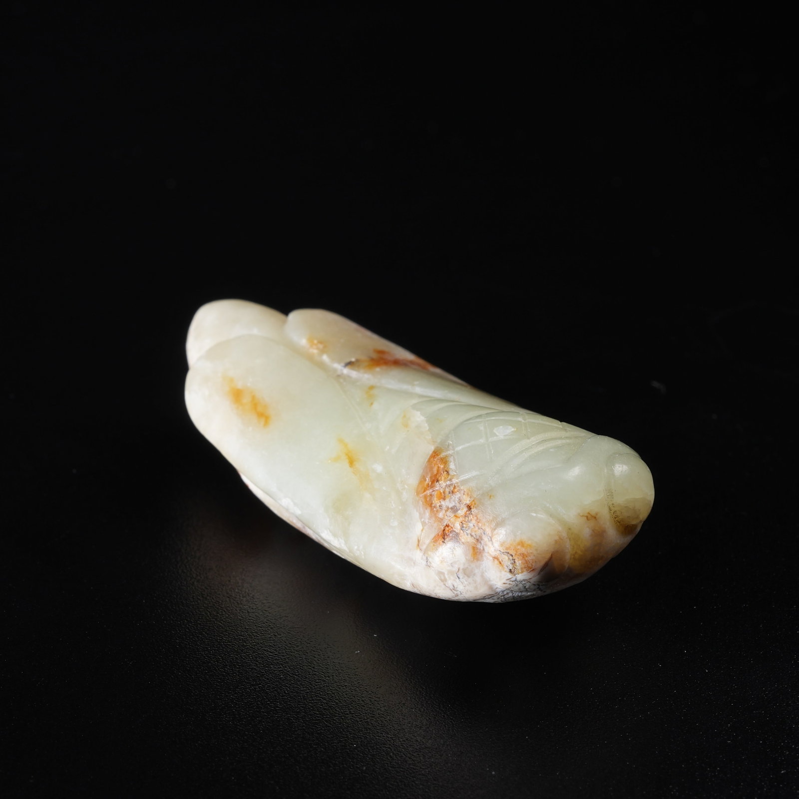 A ANCIENT JADE CICADA (1 of 8)
