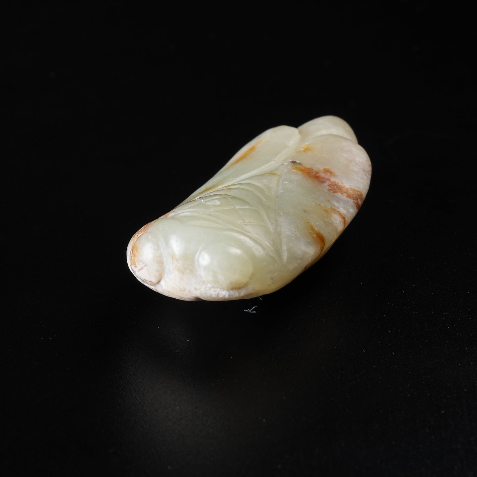 A ANCIENT JADE CICADA - 2