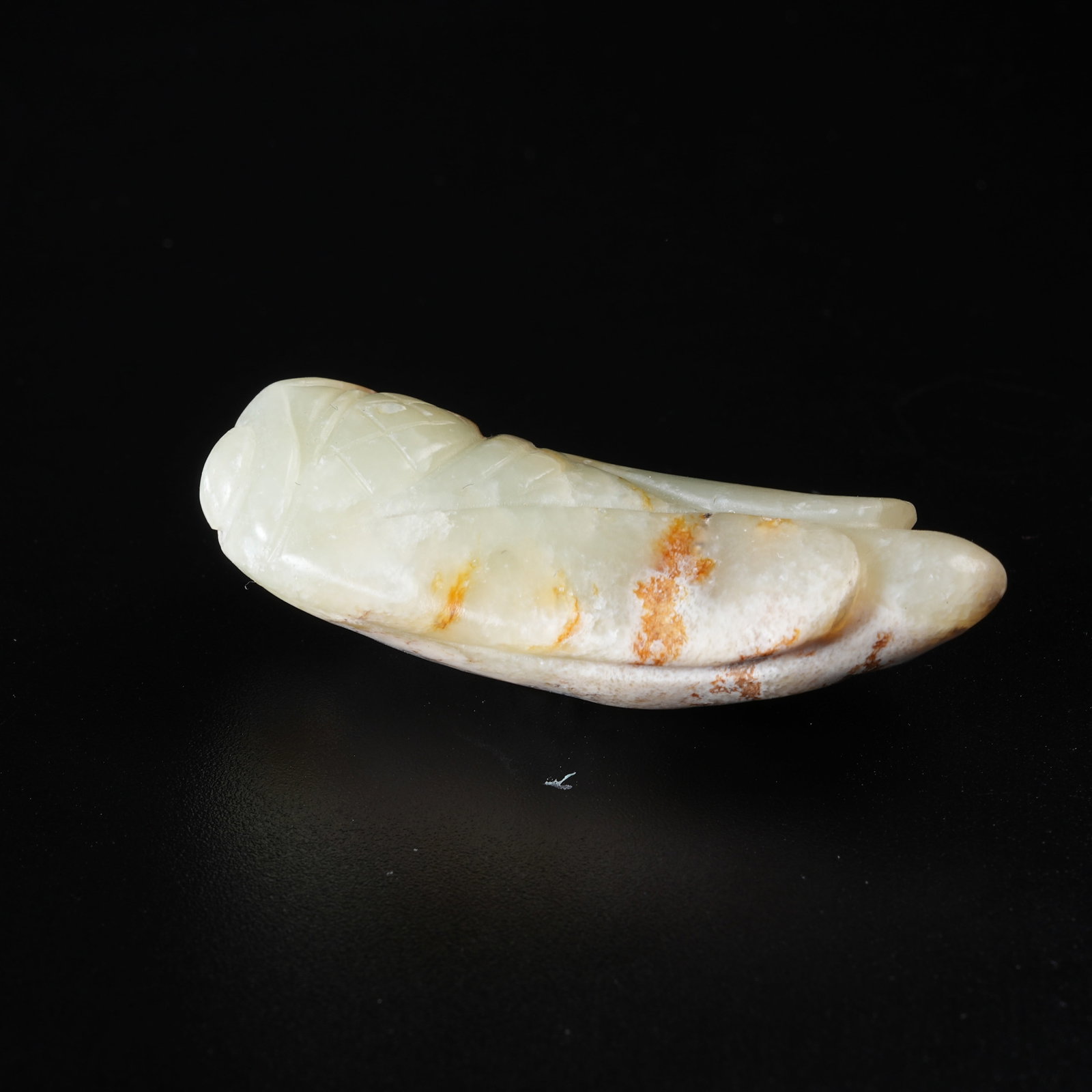 A ANCIENT JADE CICADA - 3