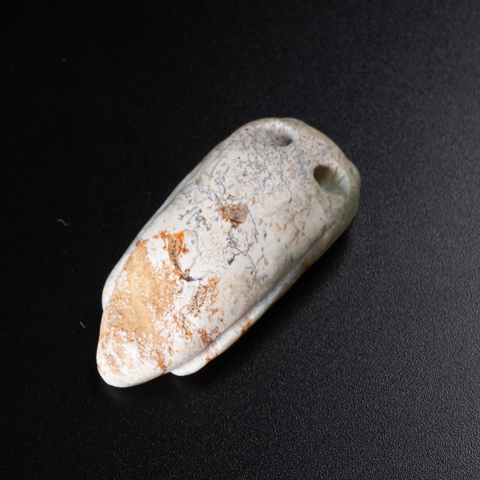 A ANCIENT JADE CICADA - 8