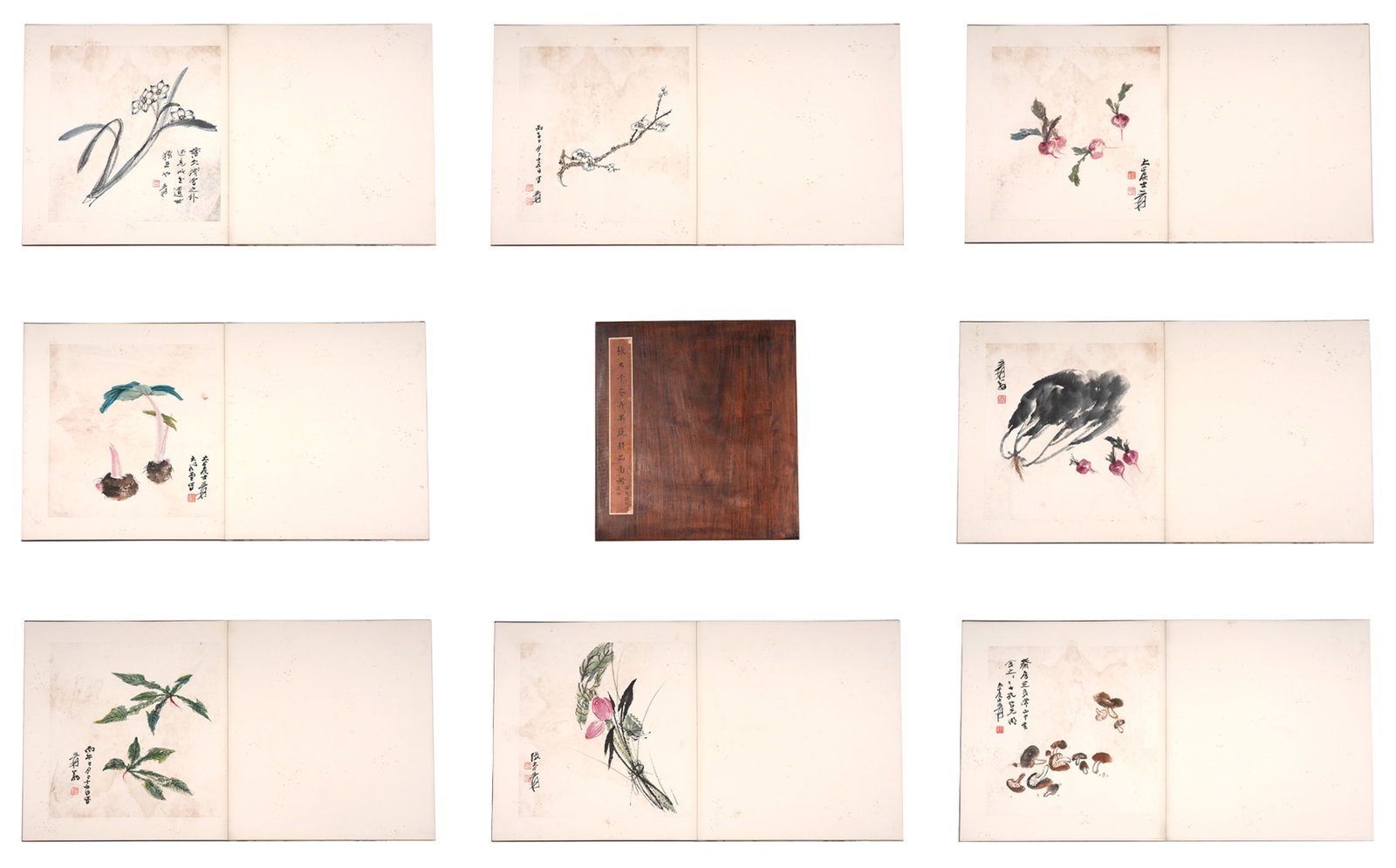 A FLOWER, FRUIT AND VEGETABLE PAINTINGS ALBUM ON PAPER BY ZHANG DAQIAN (ELEVEN LEAVES).張 (1 of 13)