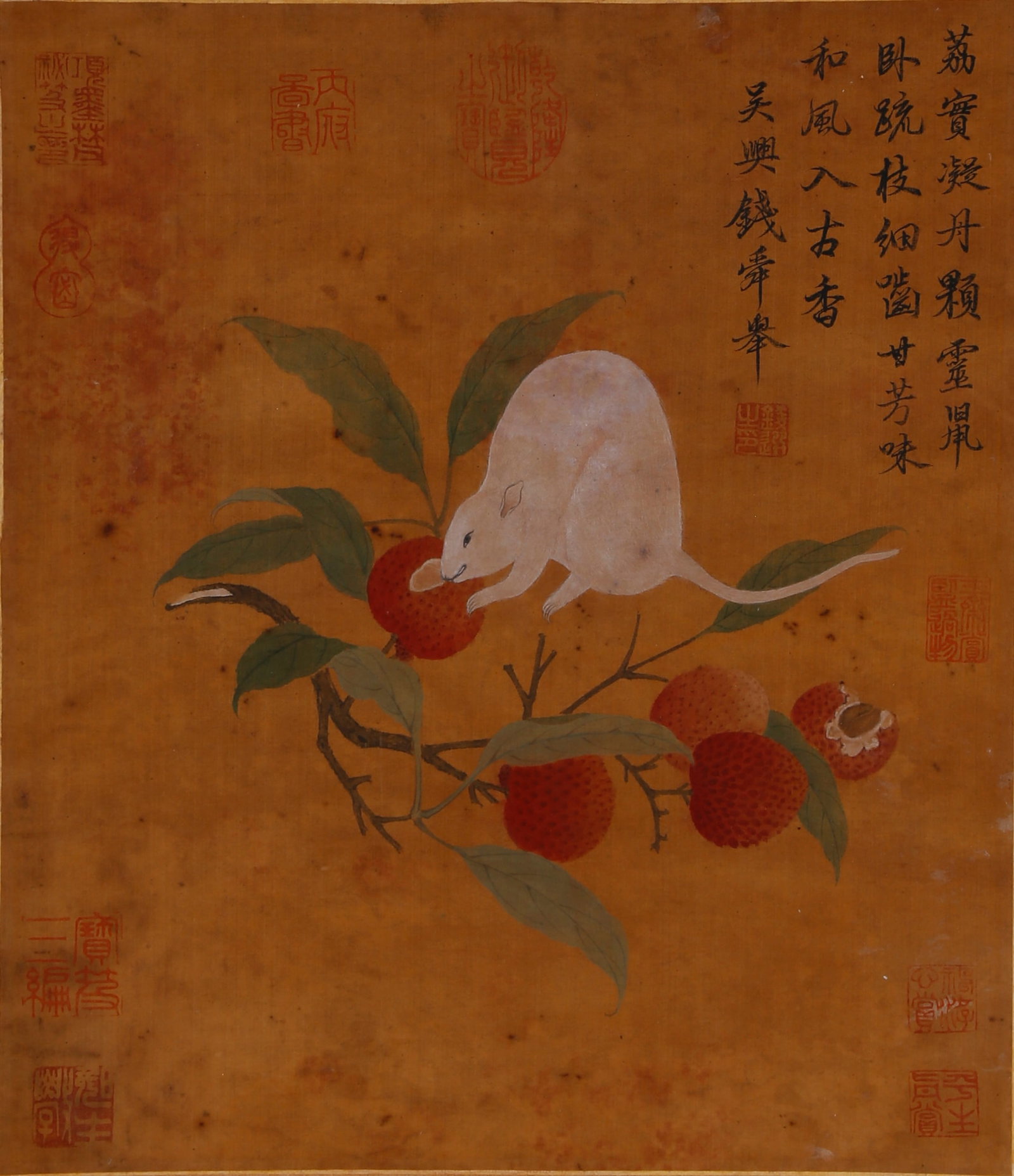 A RAT AND LYCHEE PAINTING ON SILK BY QIAN XUAN.錢選: Rat and lychee painting on silk by Qian Xuan.錢選