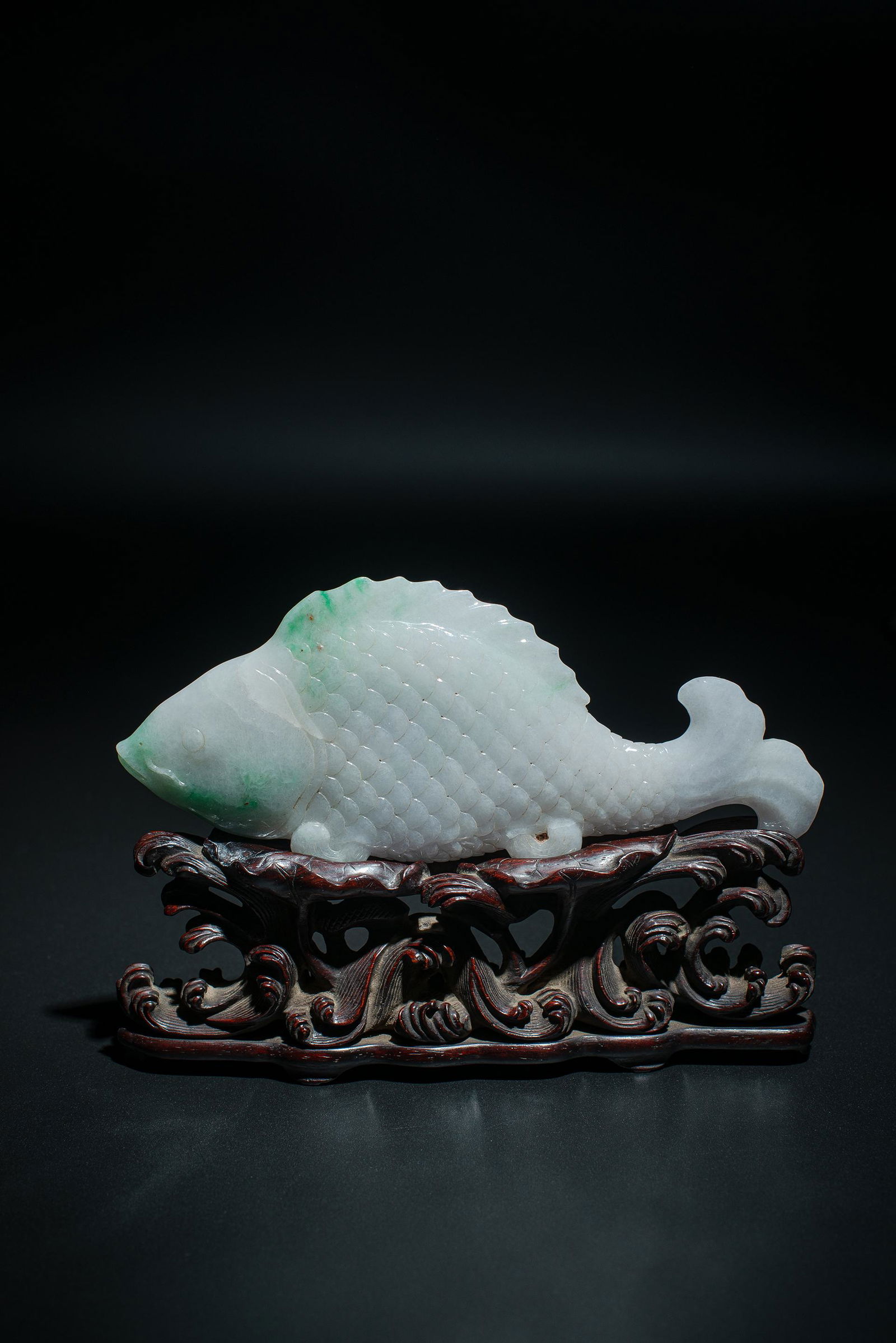 "Emerald" carp (1 of 9)