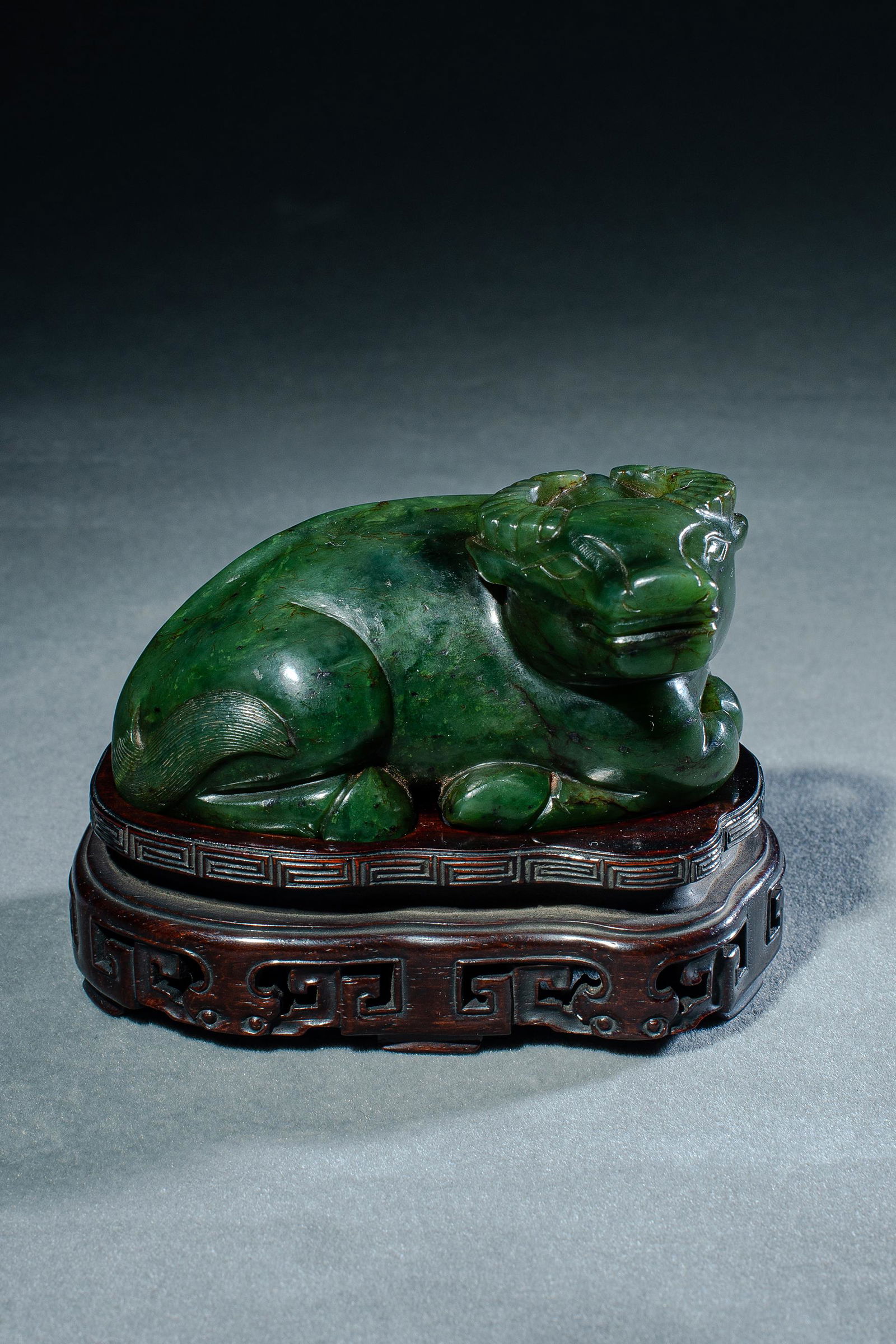 "Jasper" lying cow (1 of 9)