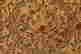 item-131314611=6