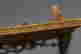 item-131314611=7