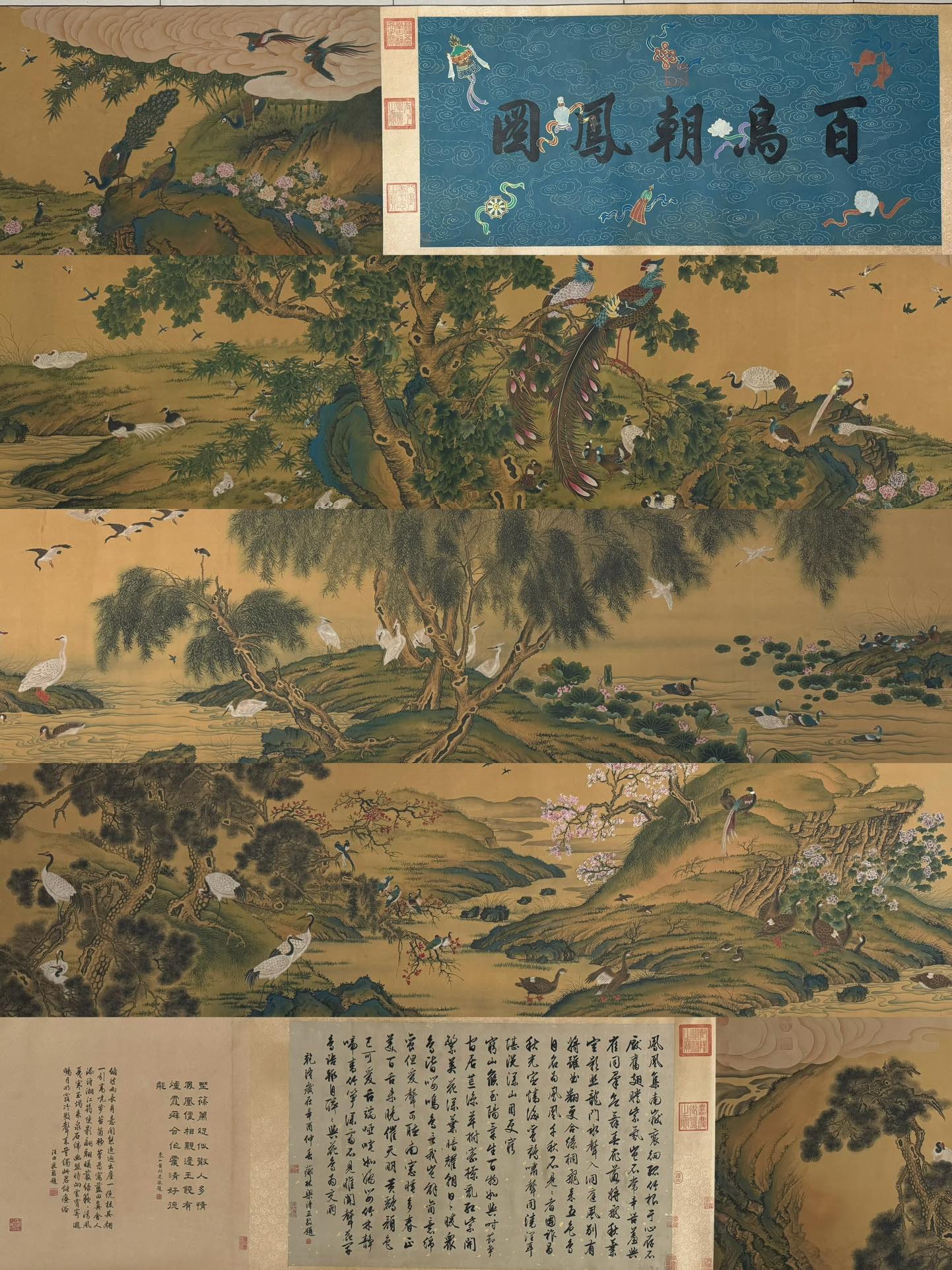 SHEN QUAN, HUNDRED BIRDS PAYING HOMAGE TO THE PHOENIX (LONG SCROLL): Silk painting core size: 860.66cm