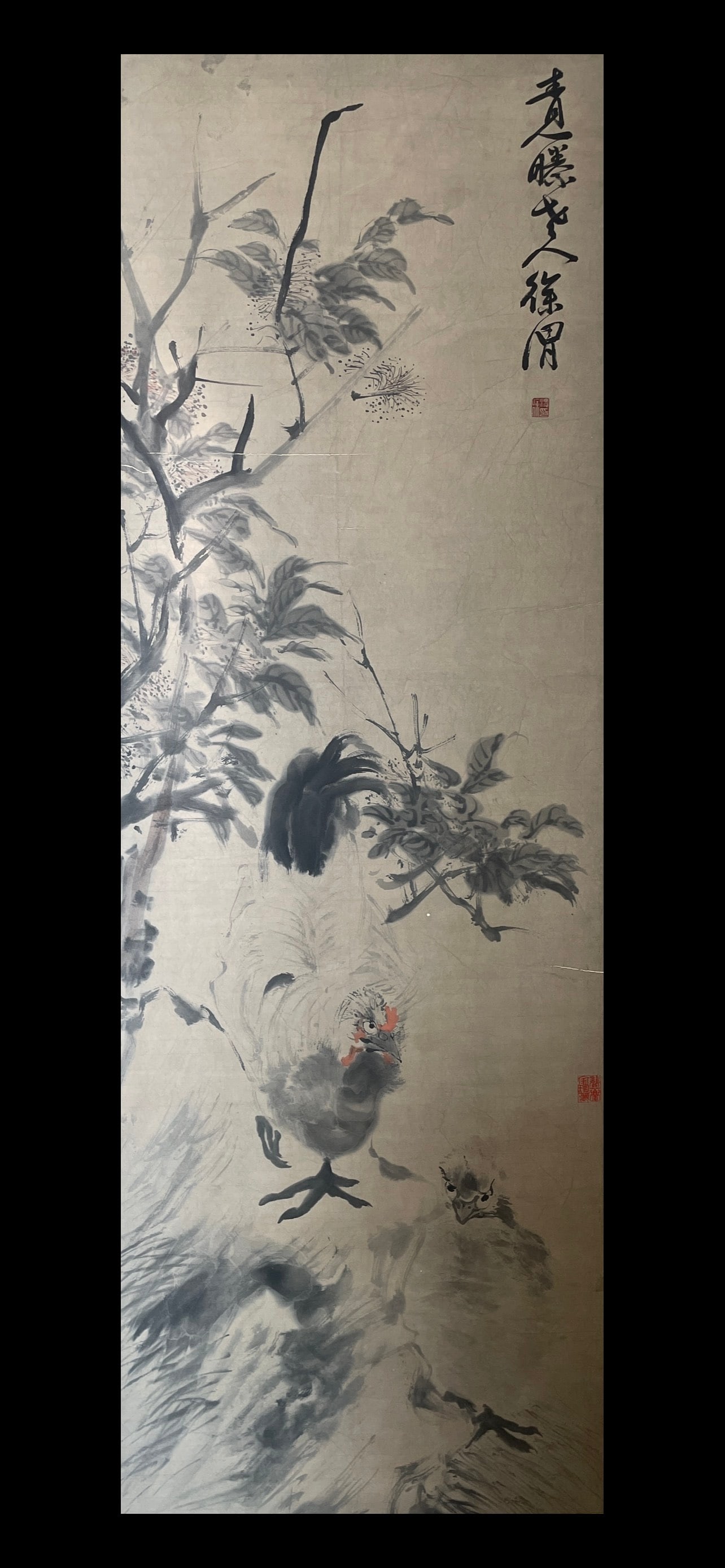 XUWEI，徐胃 - 3