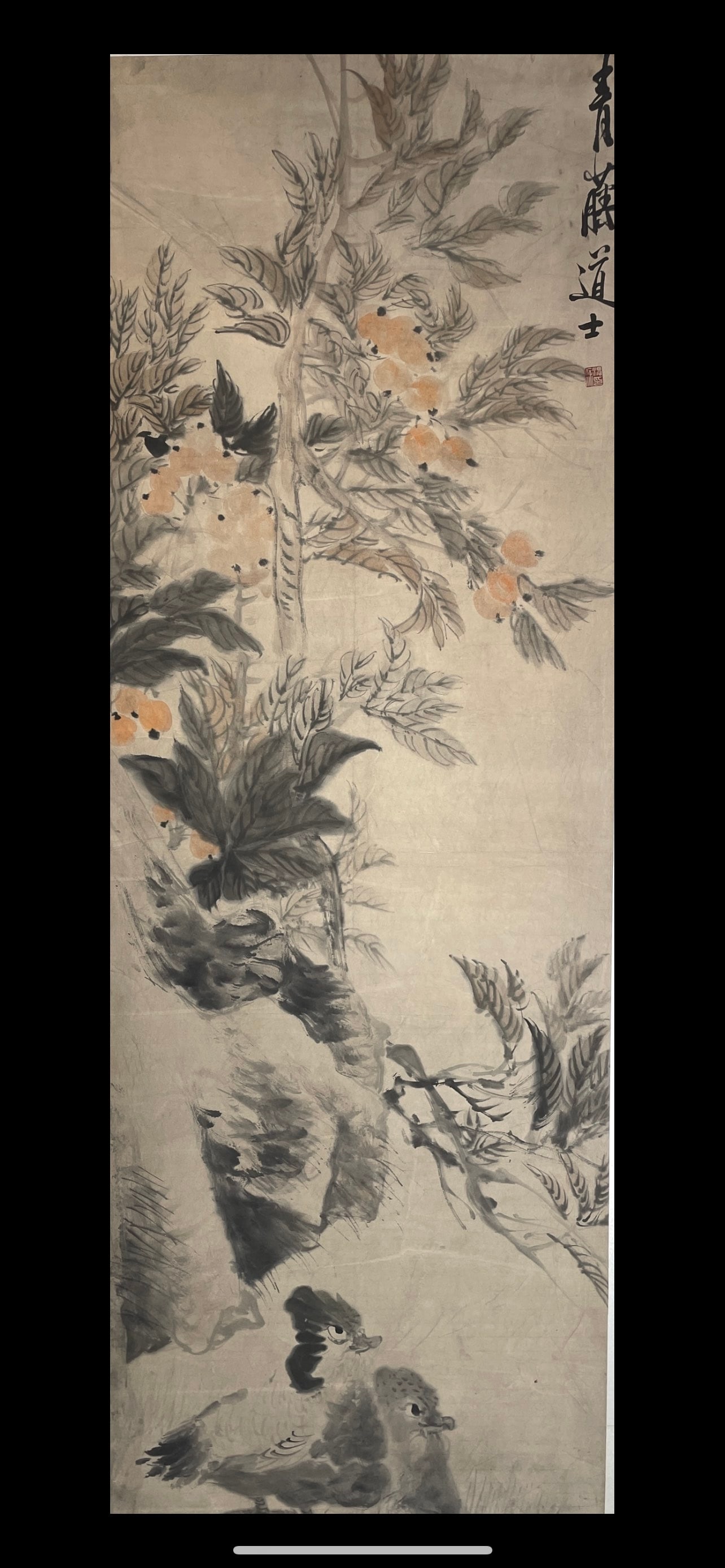 XUWEI，徐胃 - 4