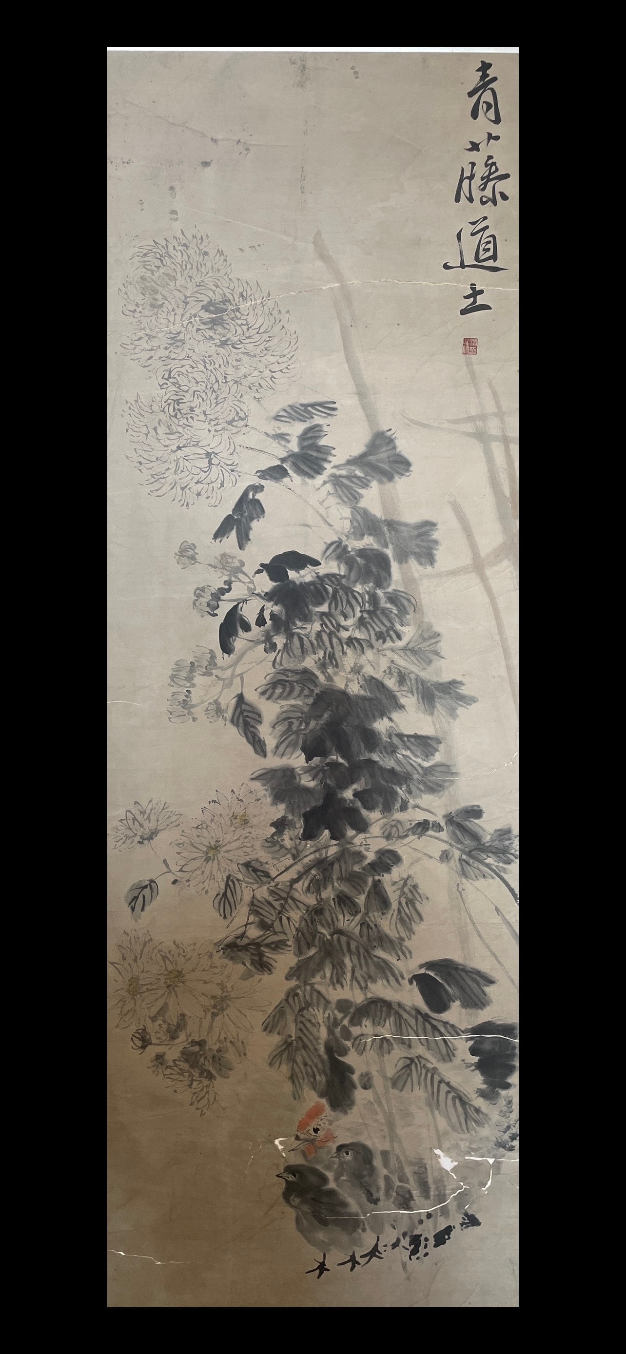 XUWEI，徐胃 - 5
