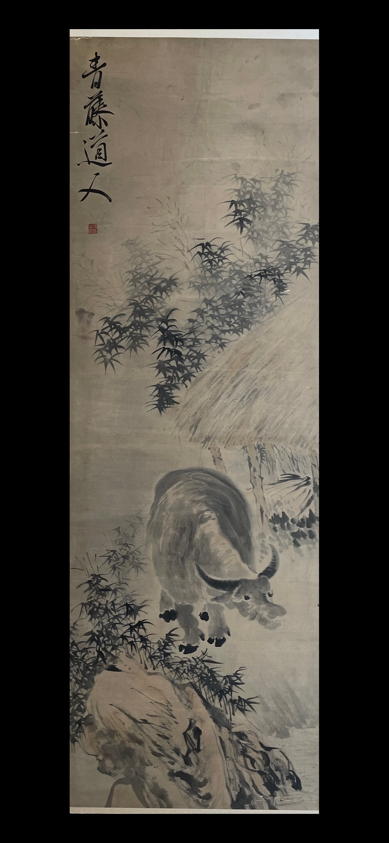 XUWEI，徐胃 - 6