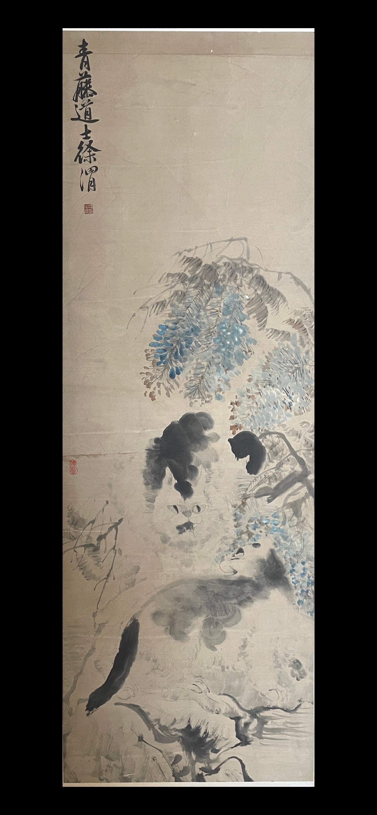 XUWEI，徐胃 - 7