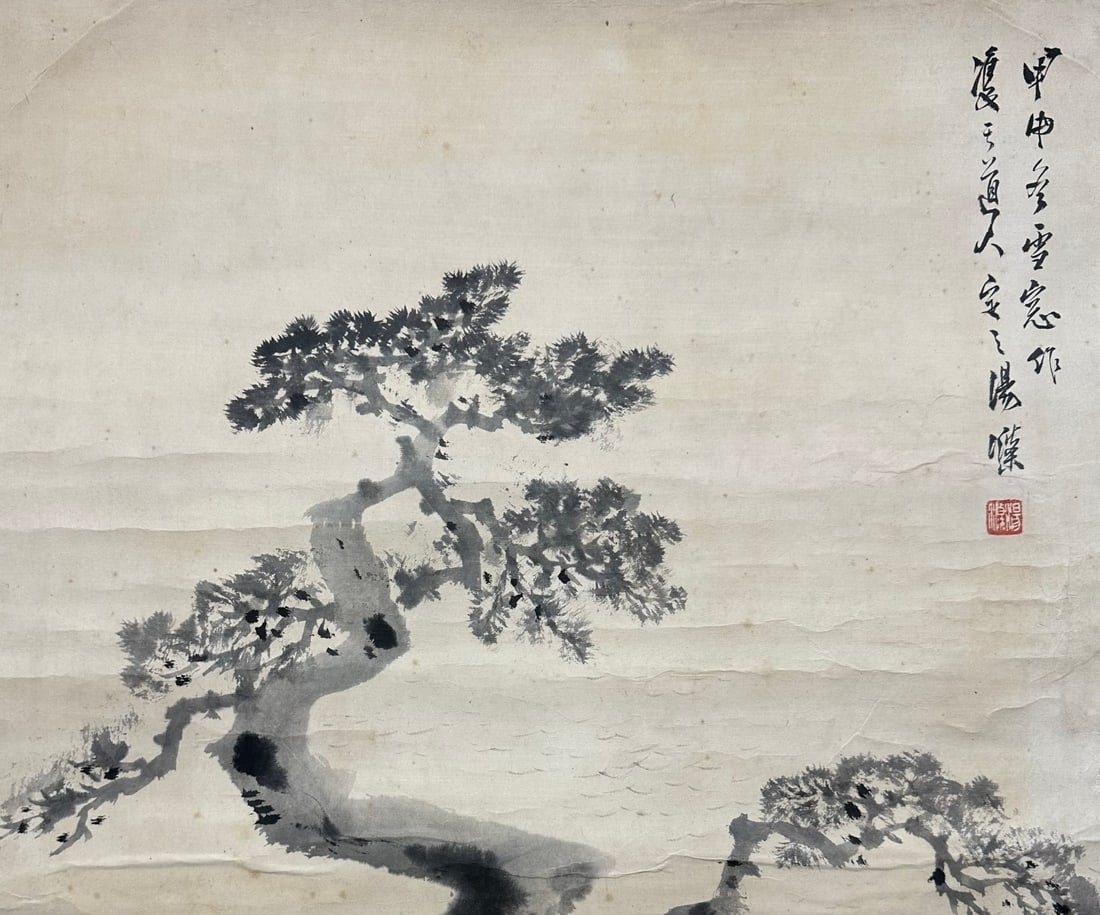 TANGDI:ANCIENTPINE唐迪 - 3