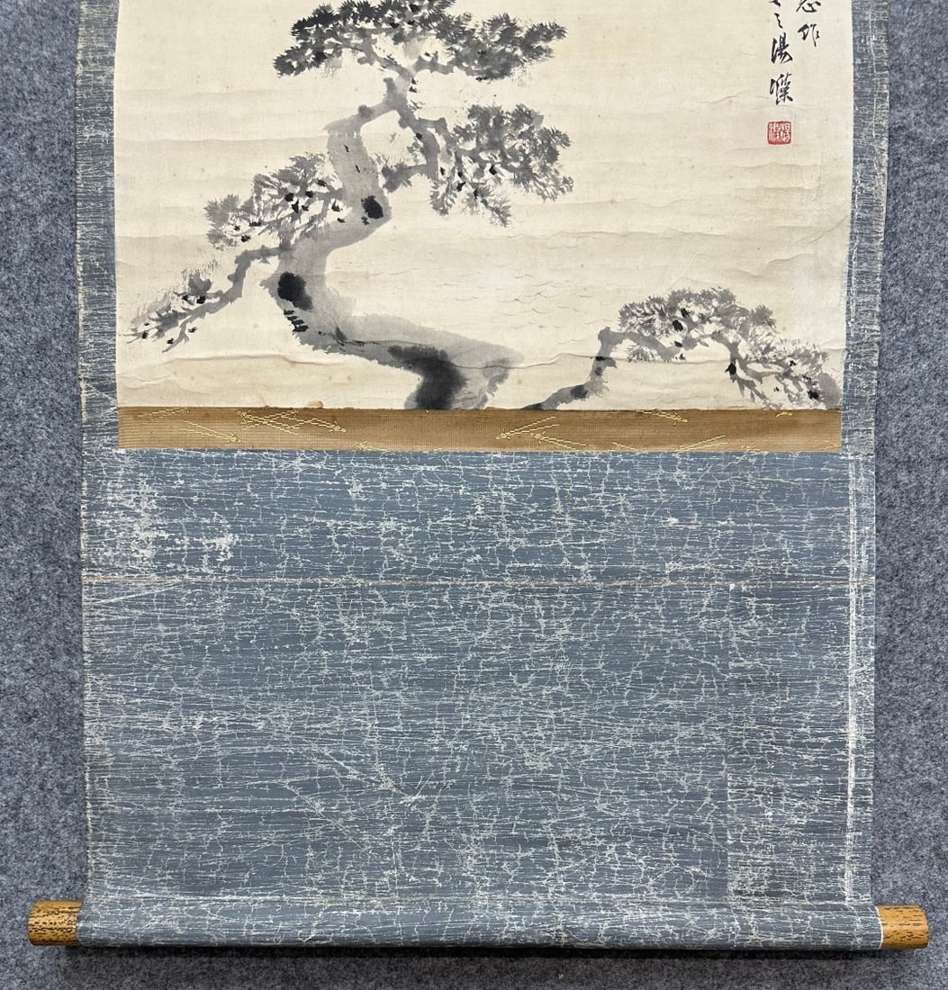 TANGDI:ANCIENTPINE唐迪 - 5