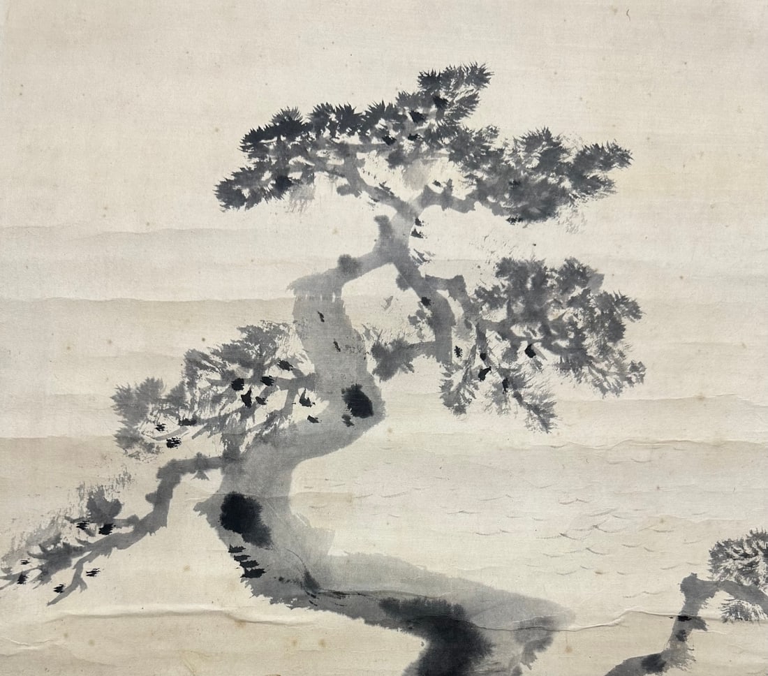 TANGDI:ANCIENTPINE唐迪 - 6