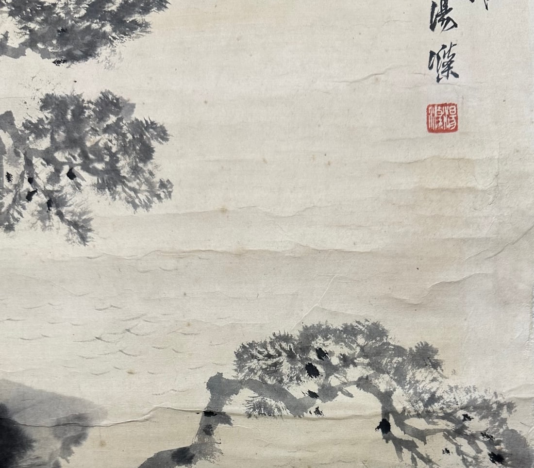 TANGDI:ANCIENTPINE唐迪 - 7