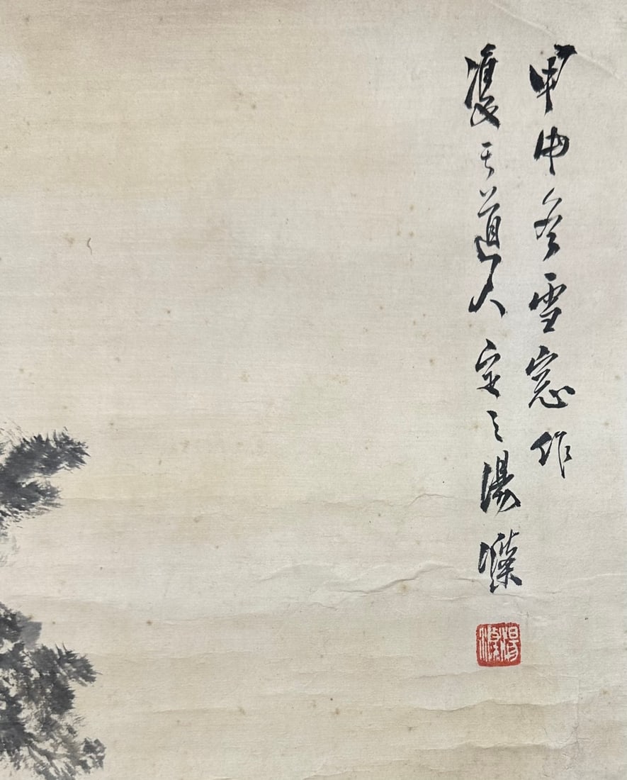 TANGDI:ANCIENTPINE唐迪 - 8