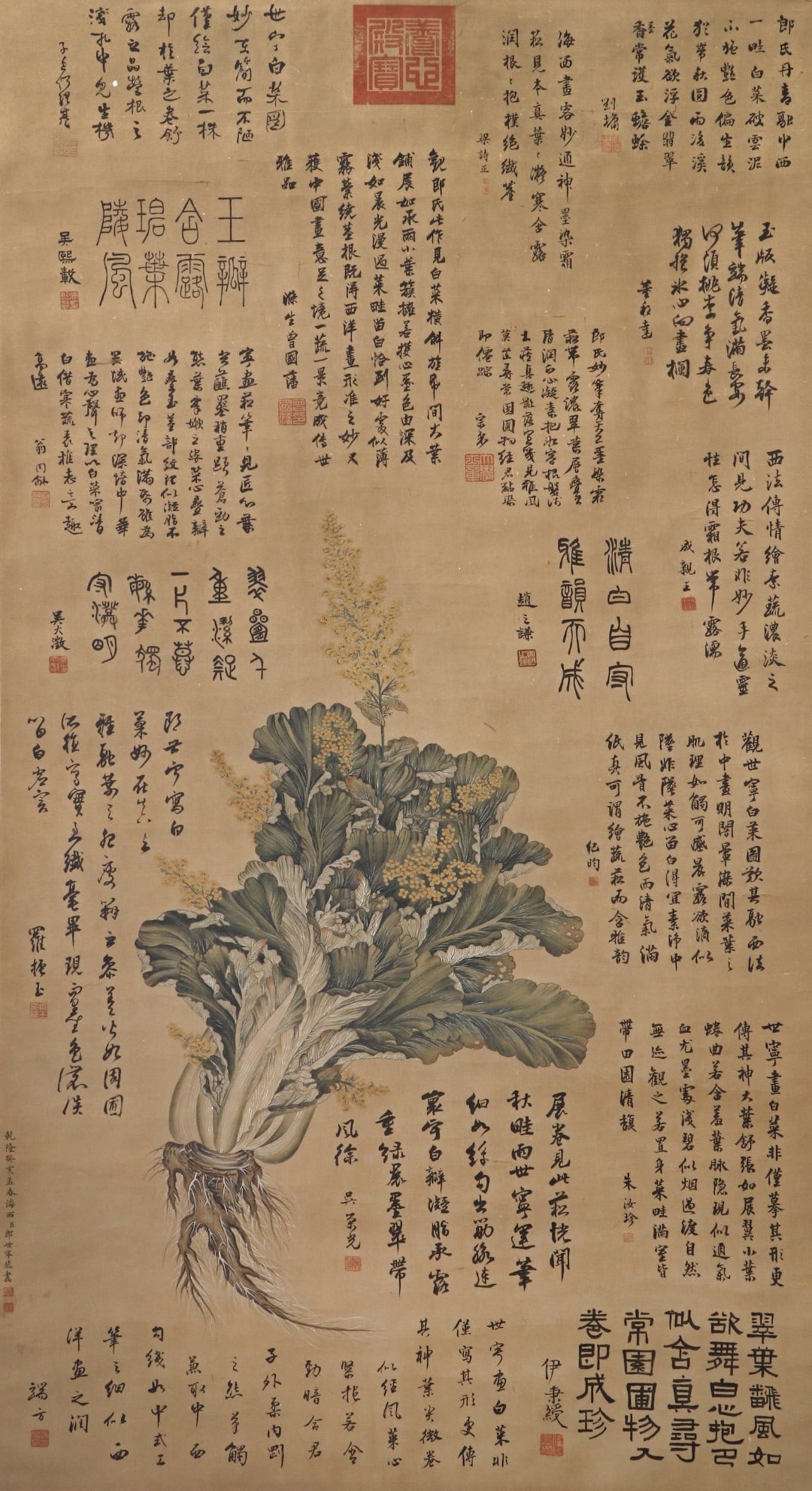 GIUSEPPECASTIGLIONE(LANGSHINING):CABBAGE，郎世宁 - 2